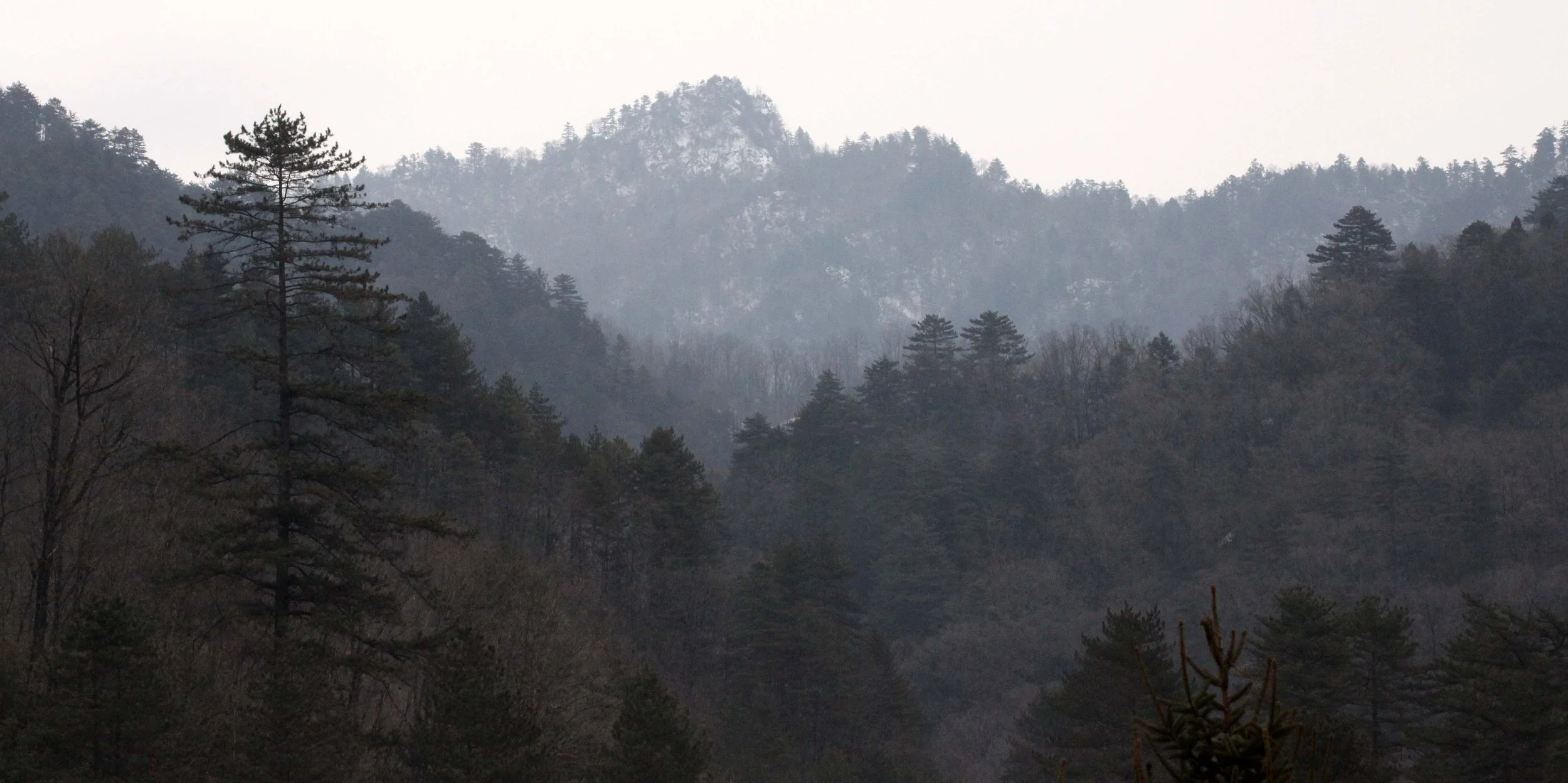 FOPING NATURE RESERVE - SHAANXI PROVINCE CHINA (149).JPG