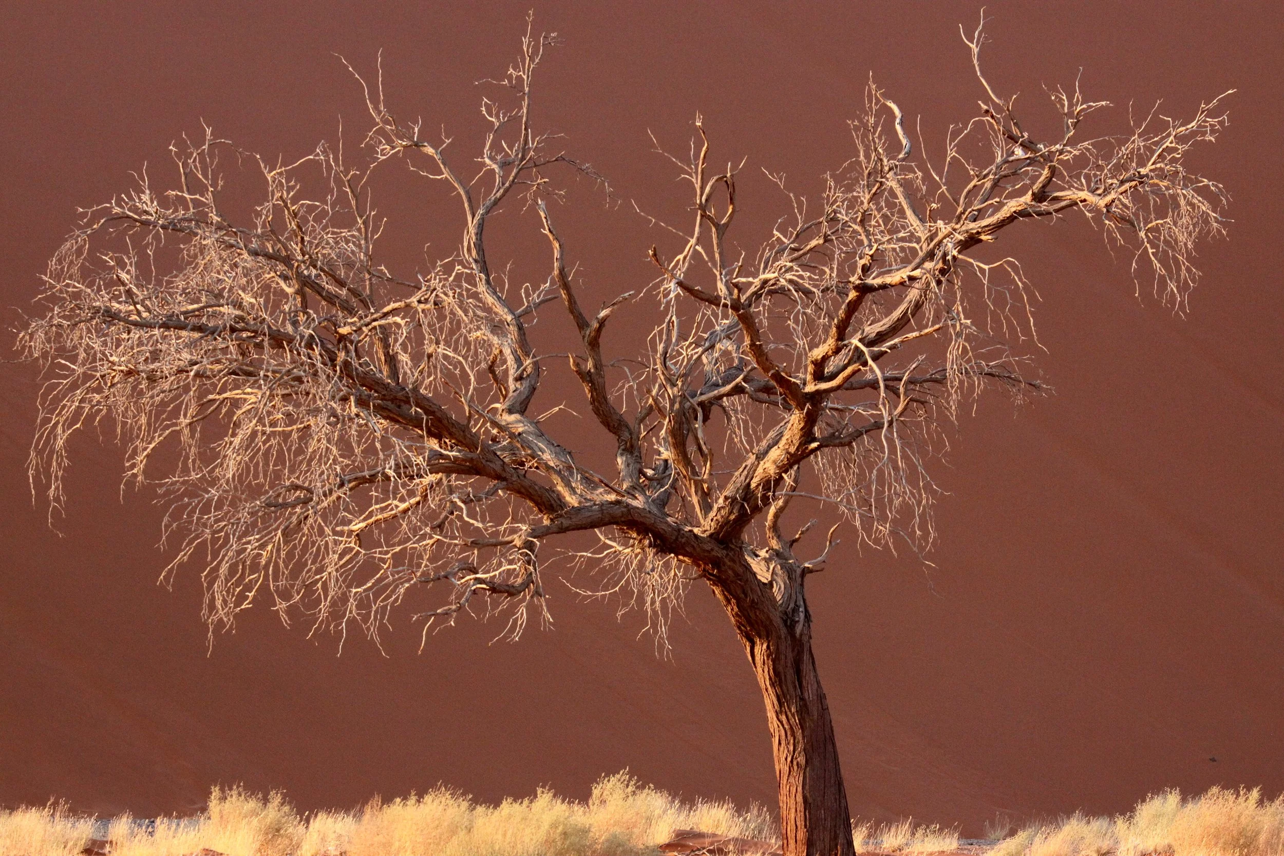 SOSSUSVLEI, NAMIB NAUKLUFT NATIONAL PARK, NAMIBIA - SESREIM VIEWS (11).JPG