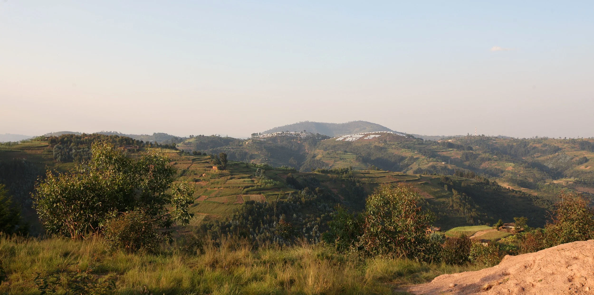 NYUNGWE NATIONAL PARK RWANDA 2 (41).JPG