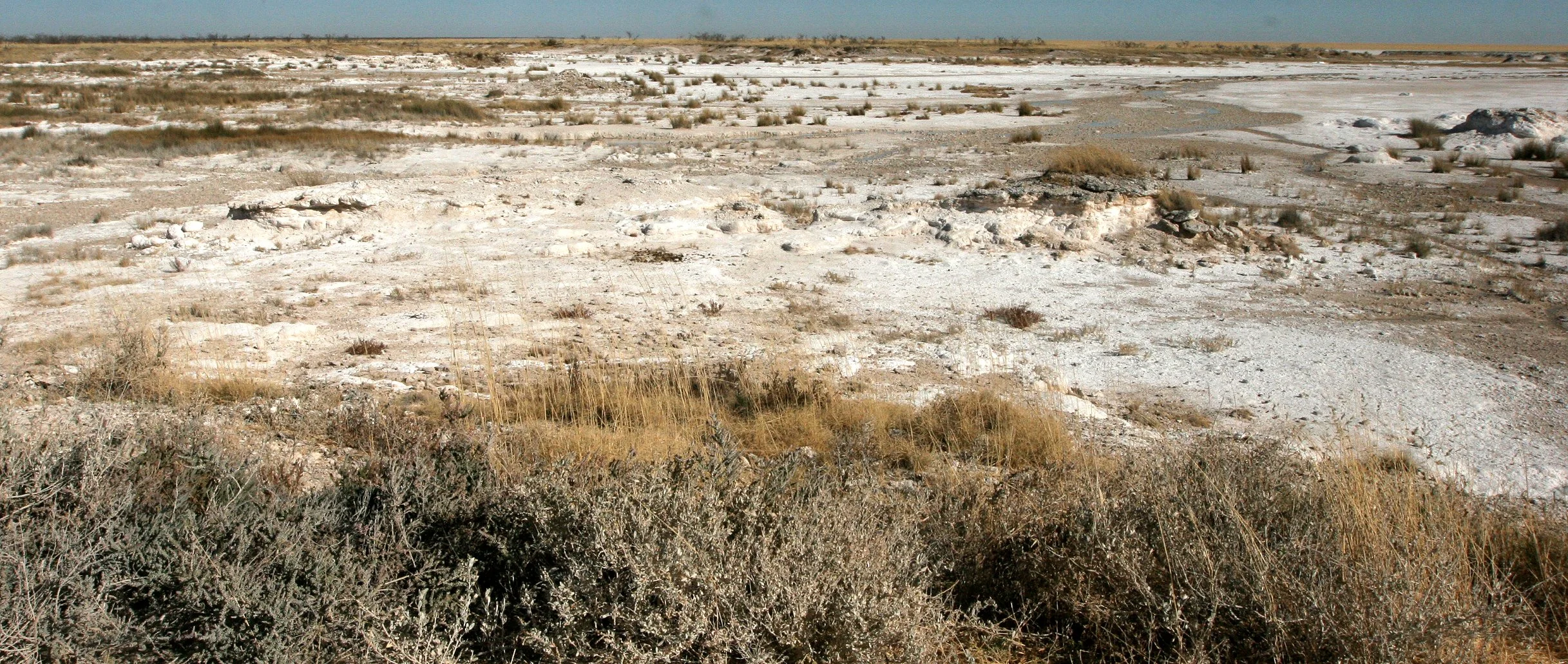 NAMIBIA - ETOSHA NATIONAL PARK  - ETOSHA PAN (18).JPG
