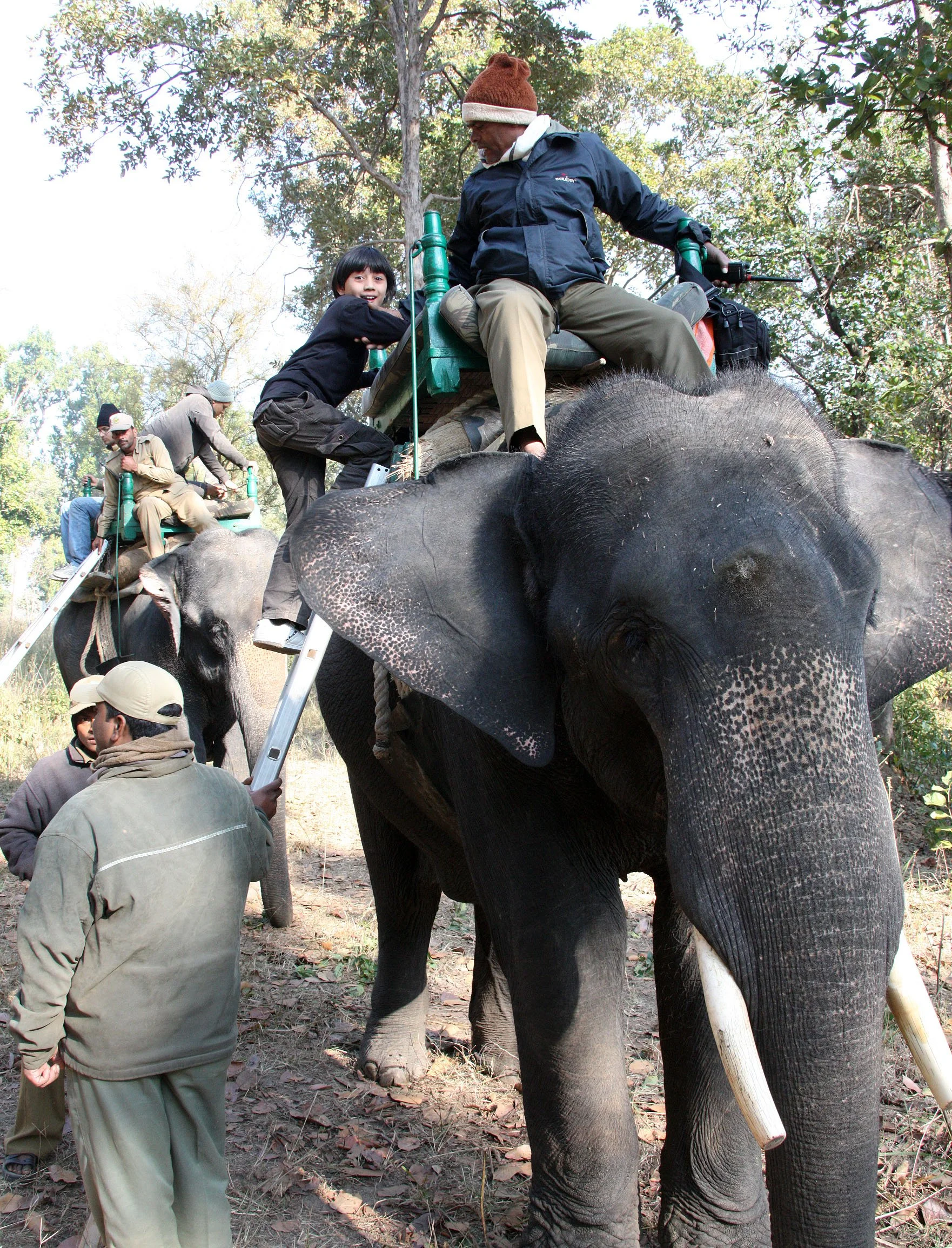 MADHYA PRADESH - KANHA NATIONAL PARK MADHYA PRADESH INDIA (9).JPG