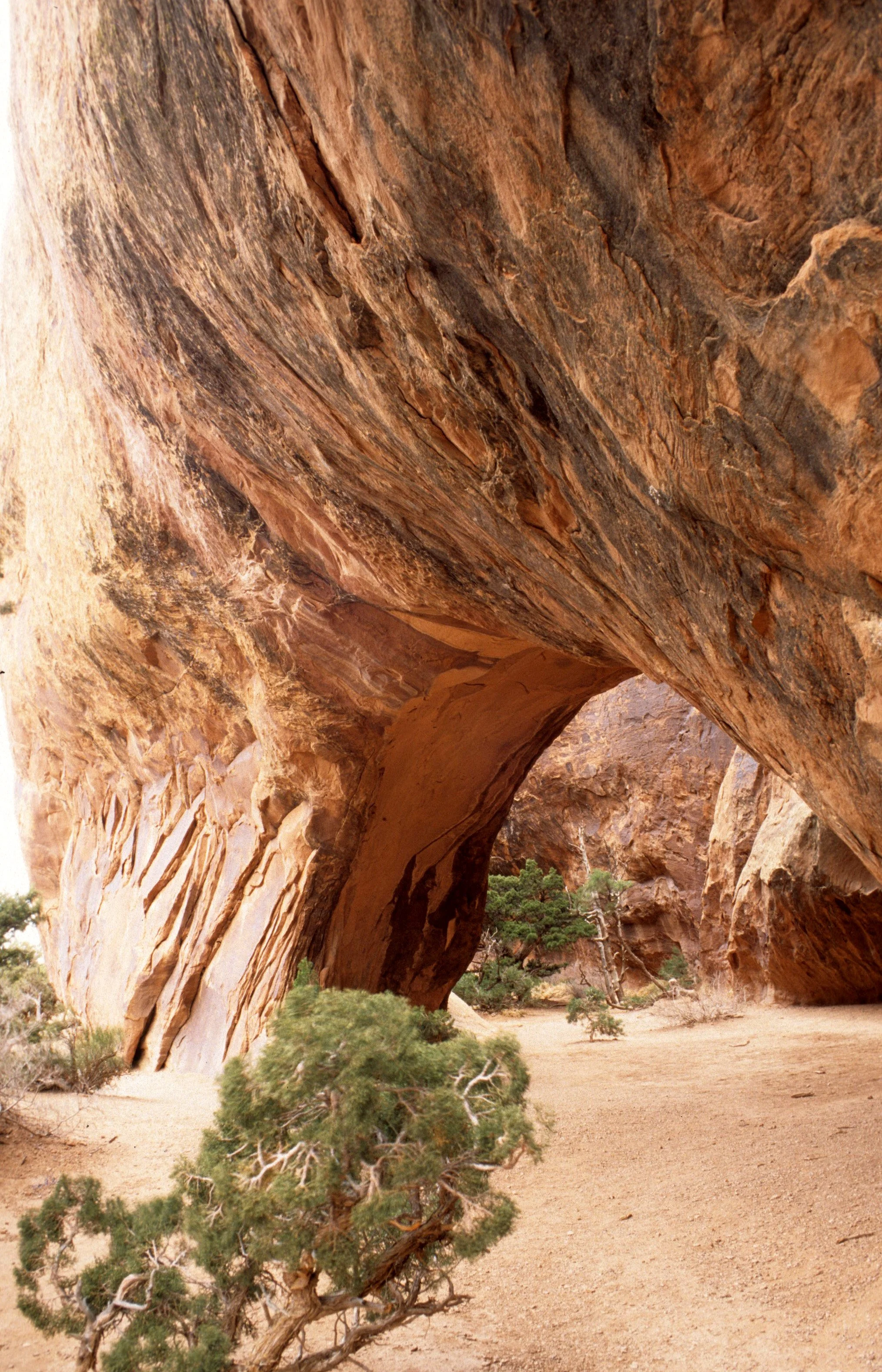 UTAH - ARCHES NP B (2).jpg