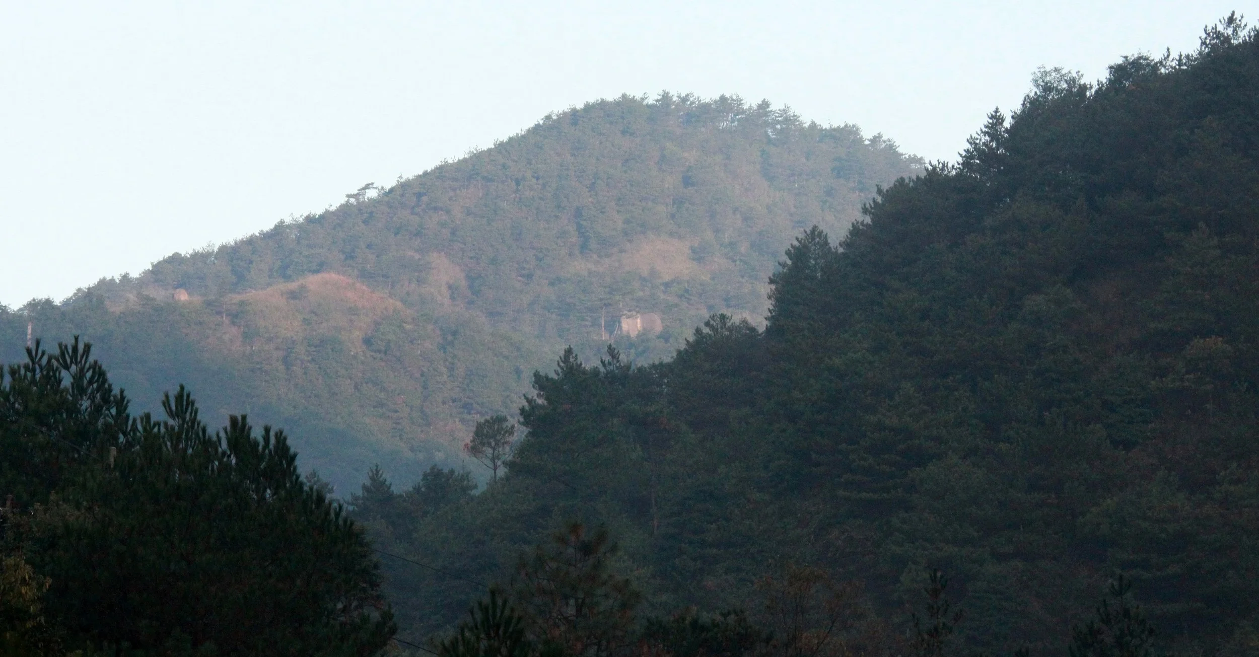 MEIHUASHAN - FUJIAN CHINA (60).JPG