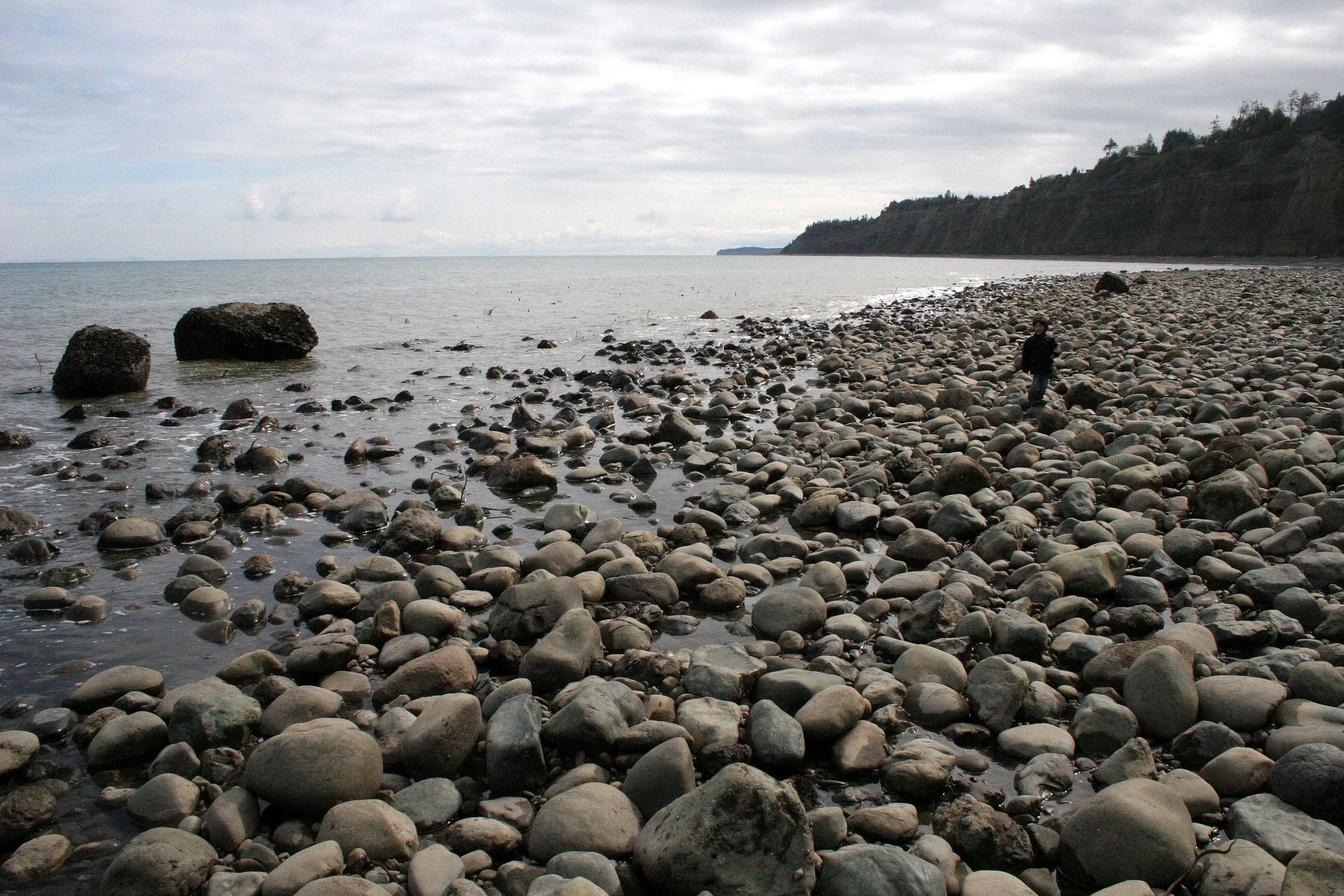 2008-4-20 LAKE FARM BEACH WALK (2).JPG