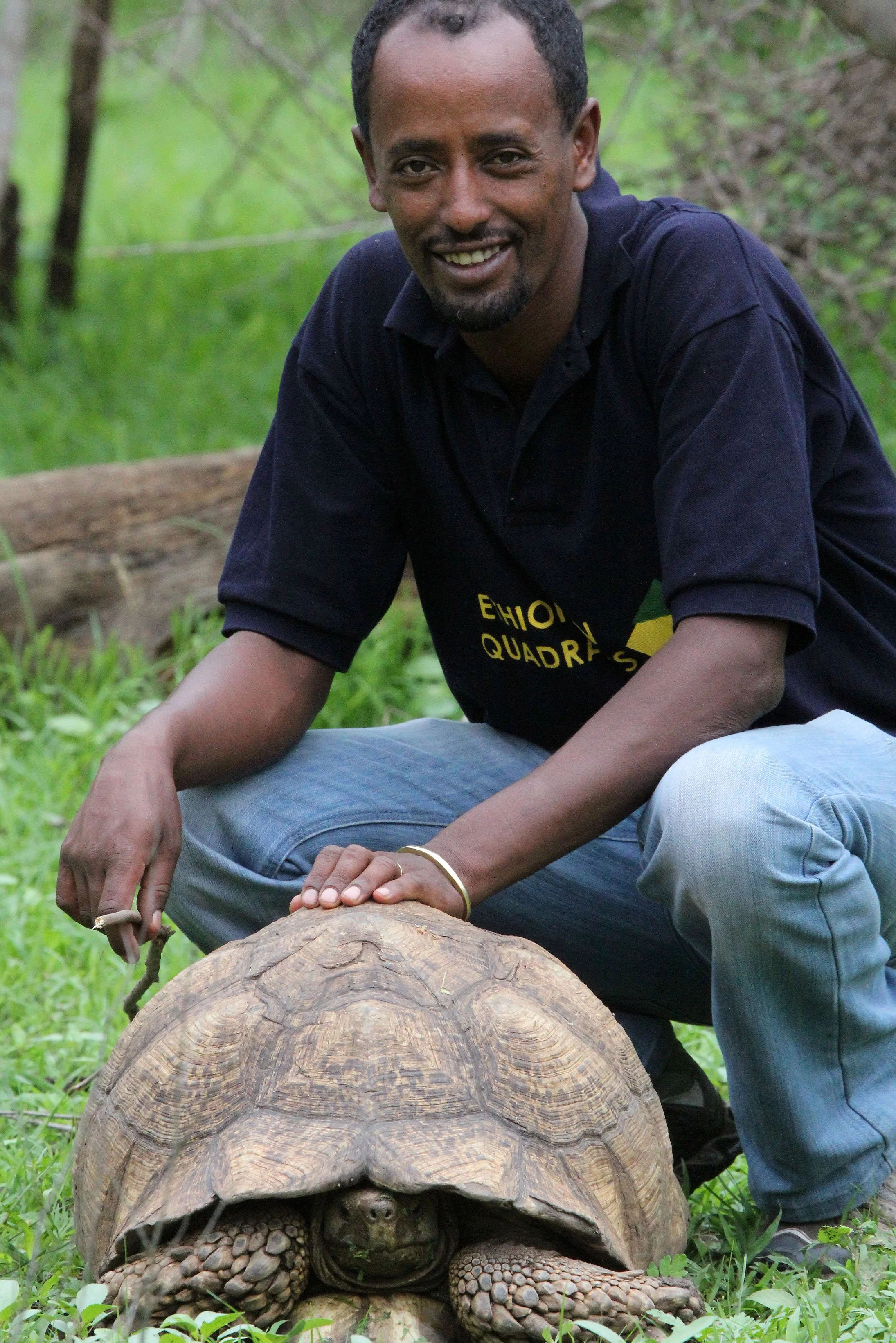 Stigmochelys pardalis - LEOPARD TORTOISE - AWASH NATIONAL PARK ETHIOPIA (7).JPG