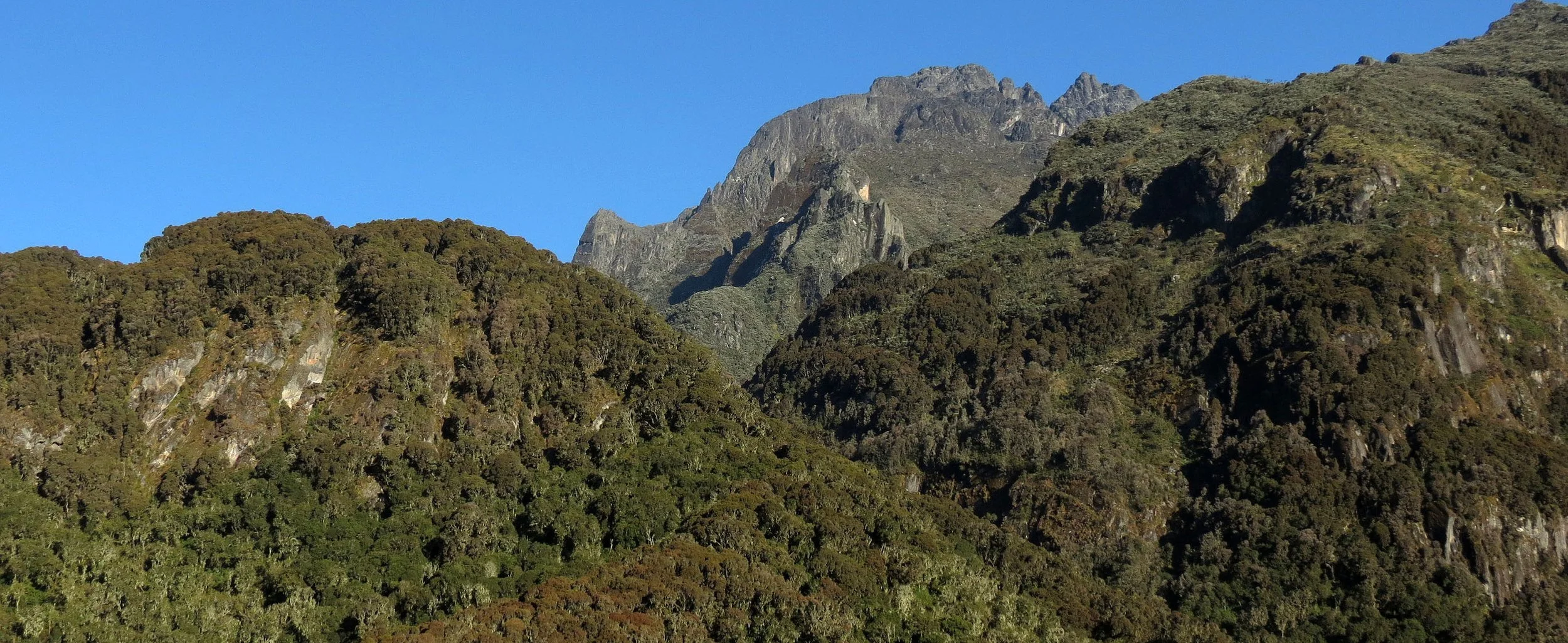 RWENZORI NATIONAL PARK UGANDA (246).JPG