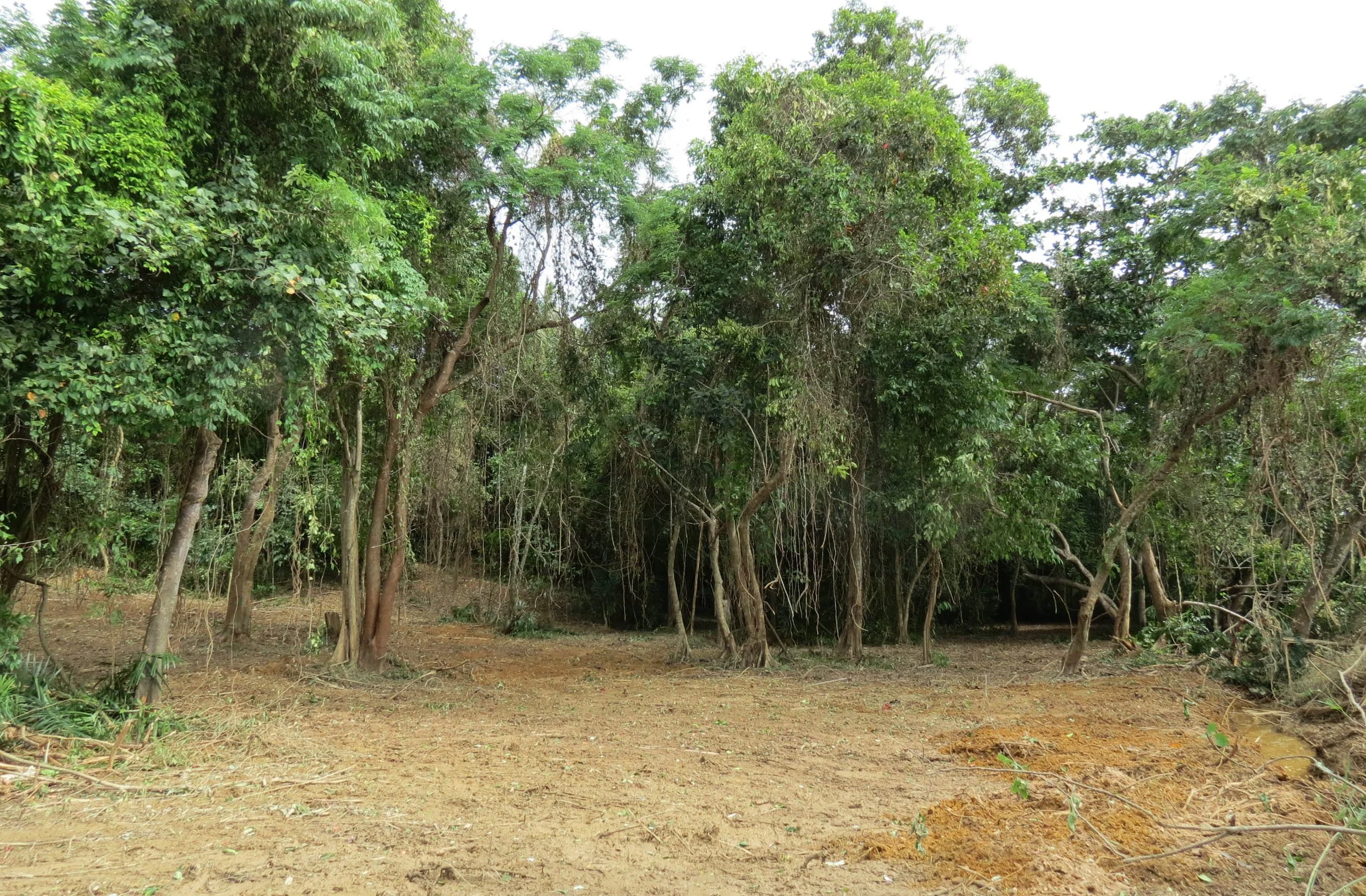2014 Koh Lanta Build (24).JPG