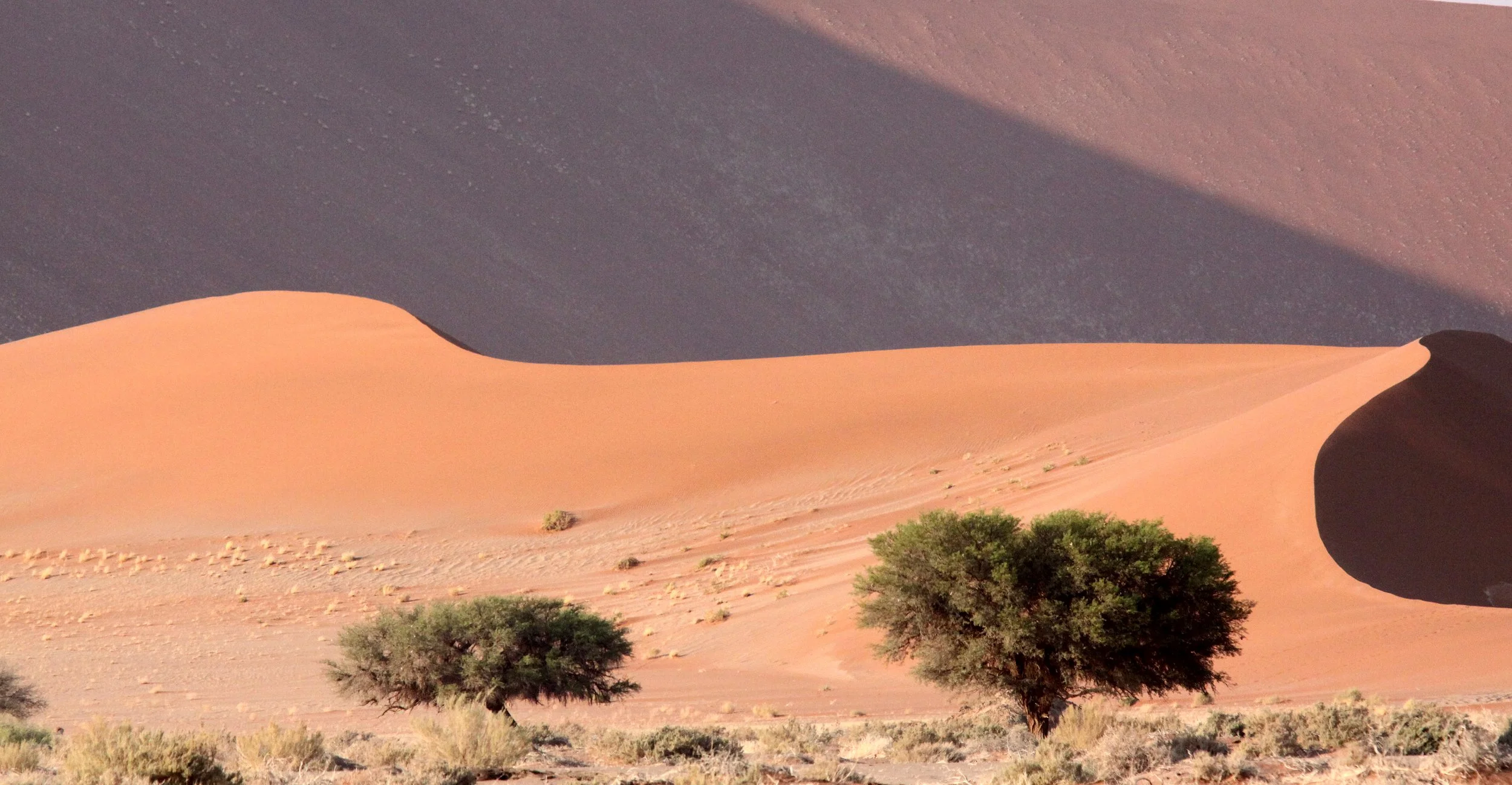 SOSSUSVLEI, NAMIB NAUKLUFT NATIONAL PARK, NAMIBIA (11).JPG