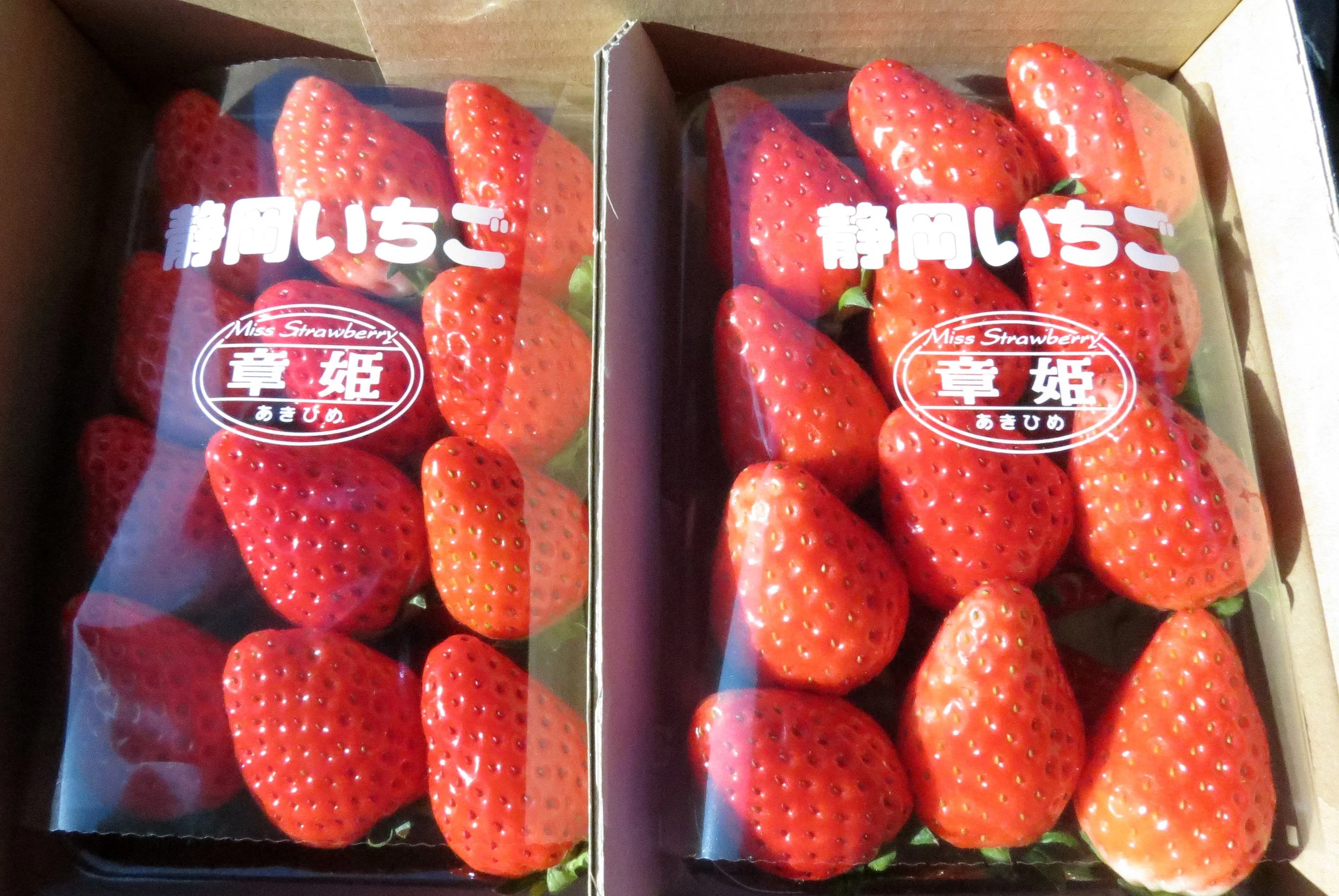 FOOD - SHIZUOKA STRAWBERRIES (1).JPG