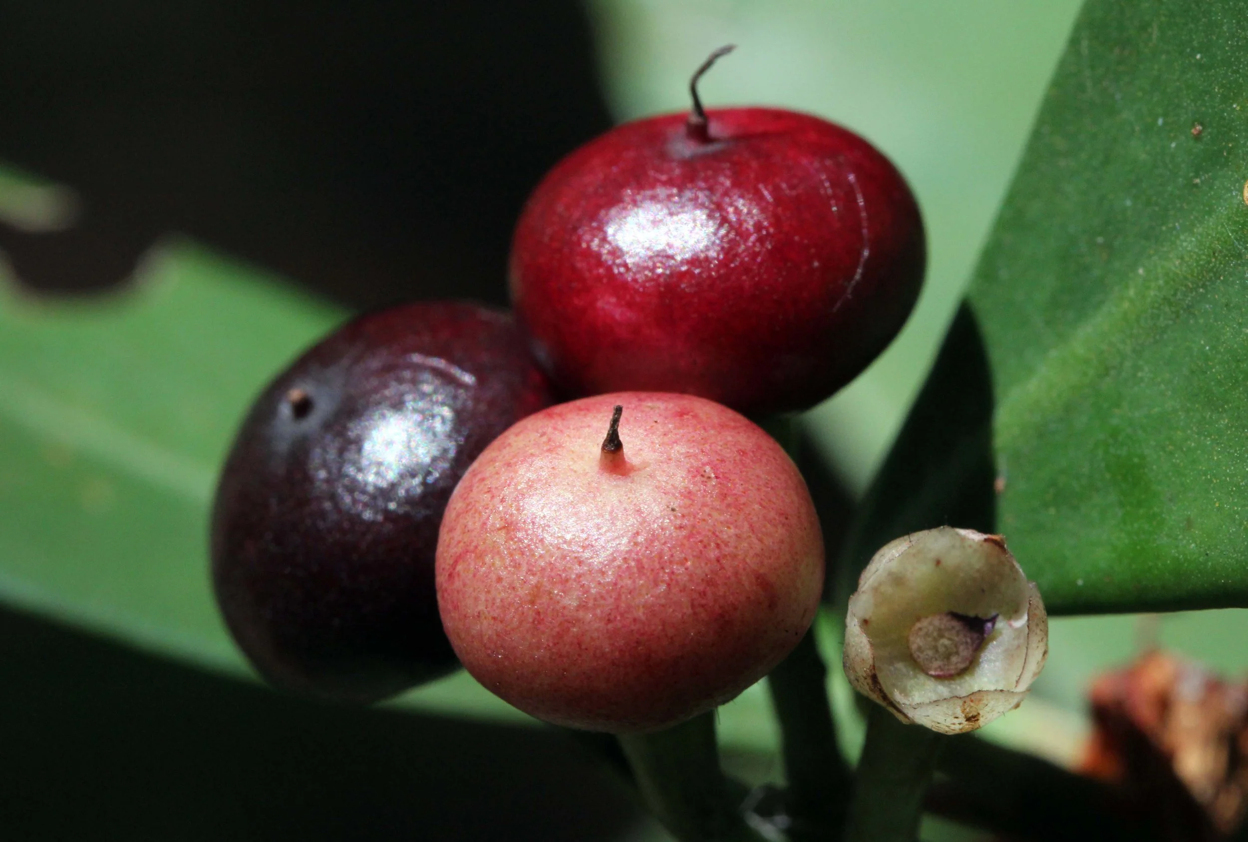 2013 KOH LANTA - OCTOBER BREAK 2013 (298).JPG
