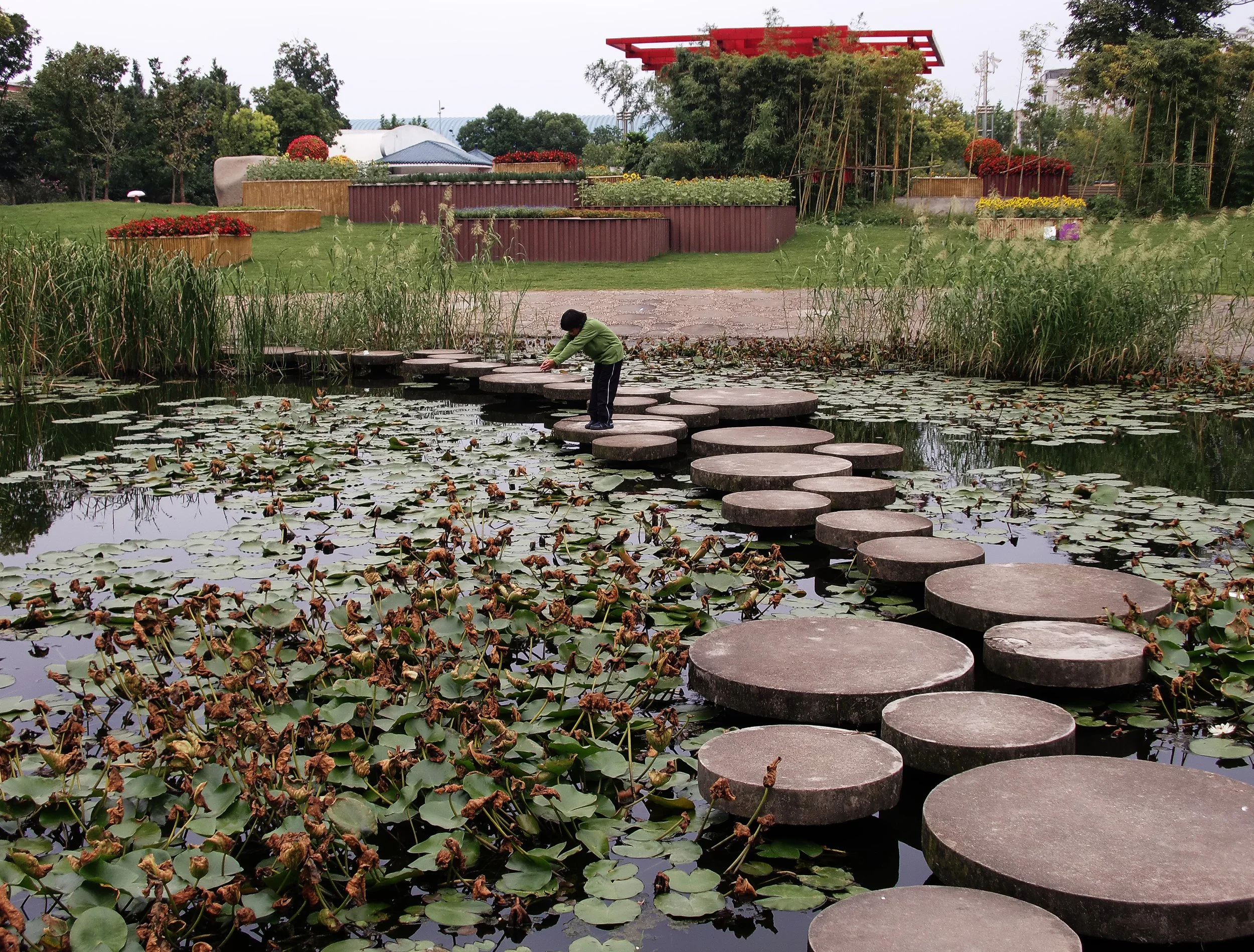 2010-9-30 SHANGHAI BOTANICAL GARDEN (1).JPG