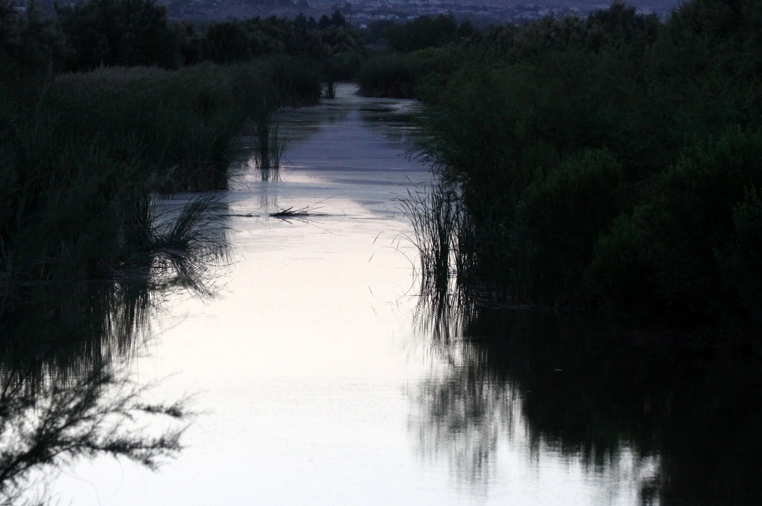 MESILLA VALLEY BOSQUE STATE PARK.JPG