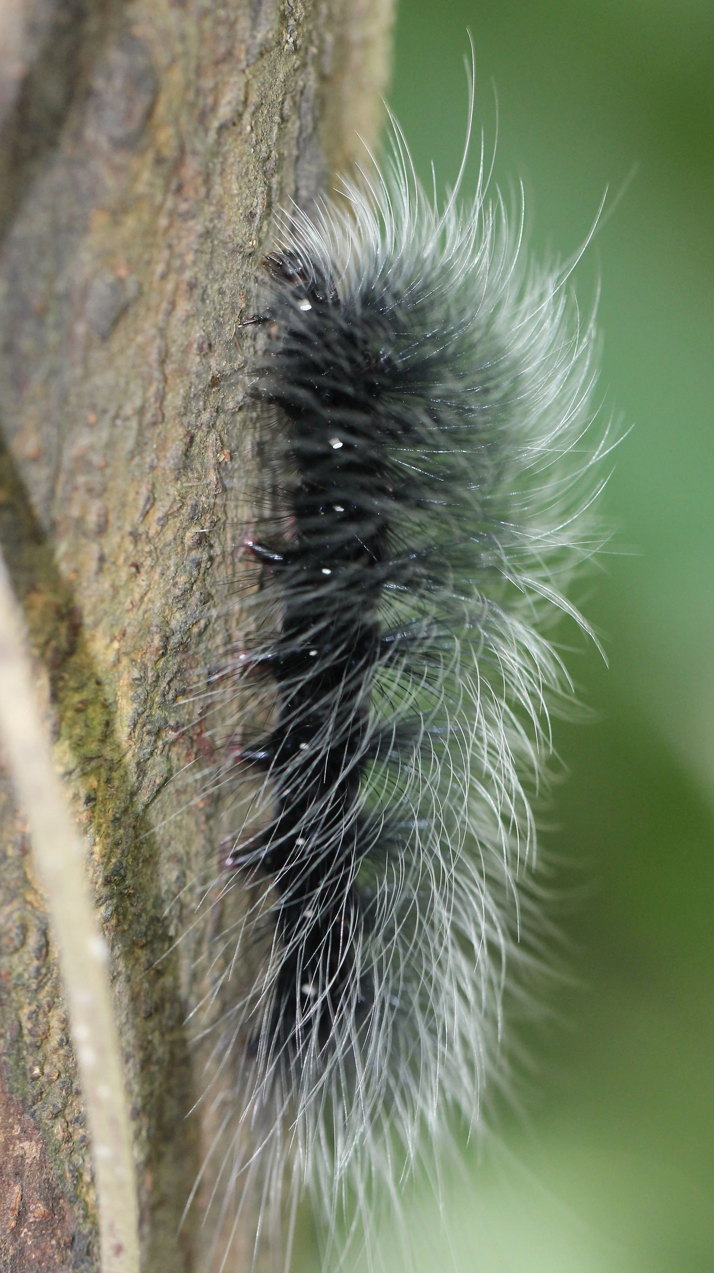 KOH LANTA JULY 2016KOH LANTA JULY 2016_9274.JPG