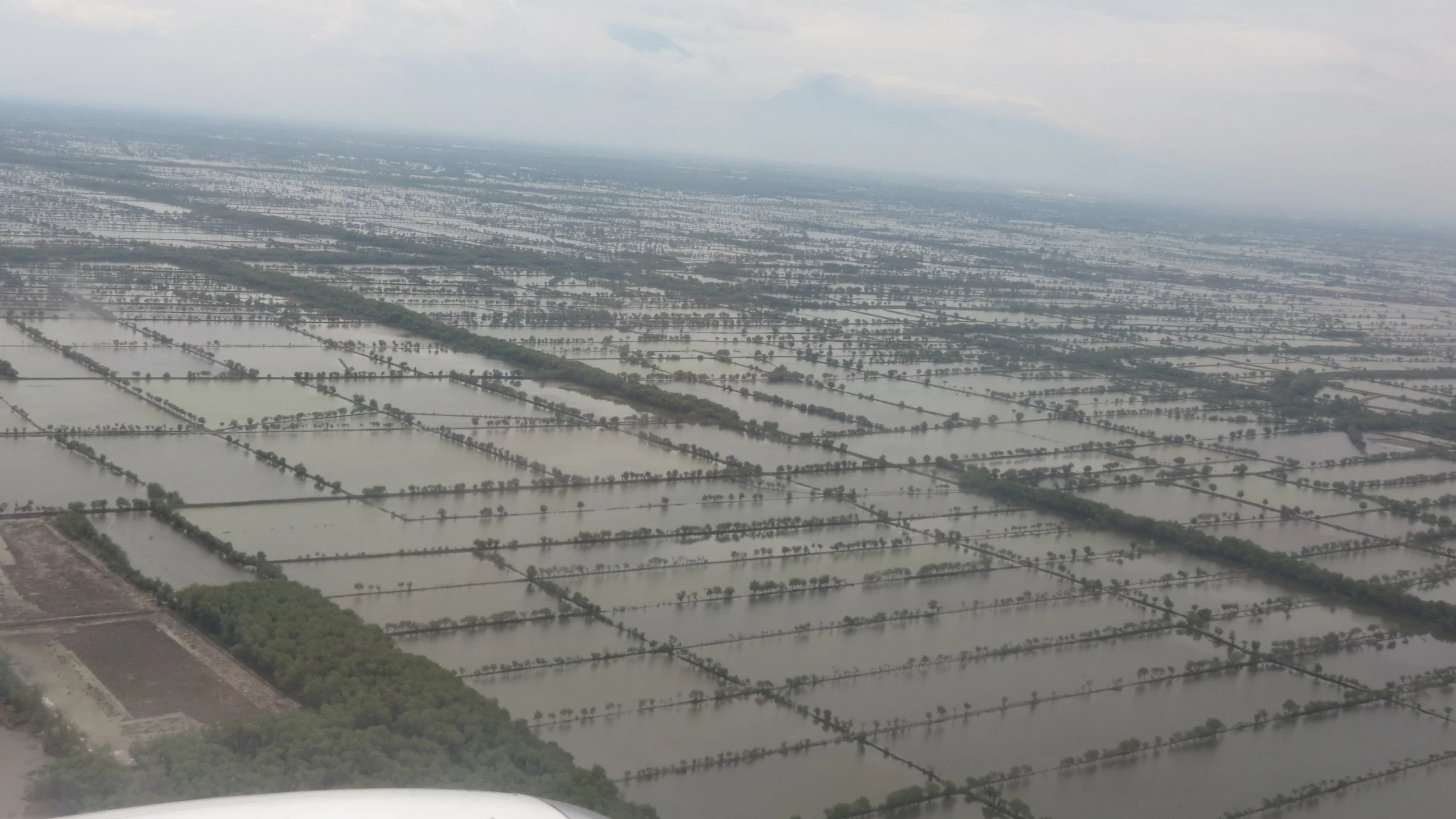 JAKARTA INDONESIA - 2012 (4).JPG