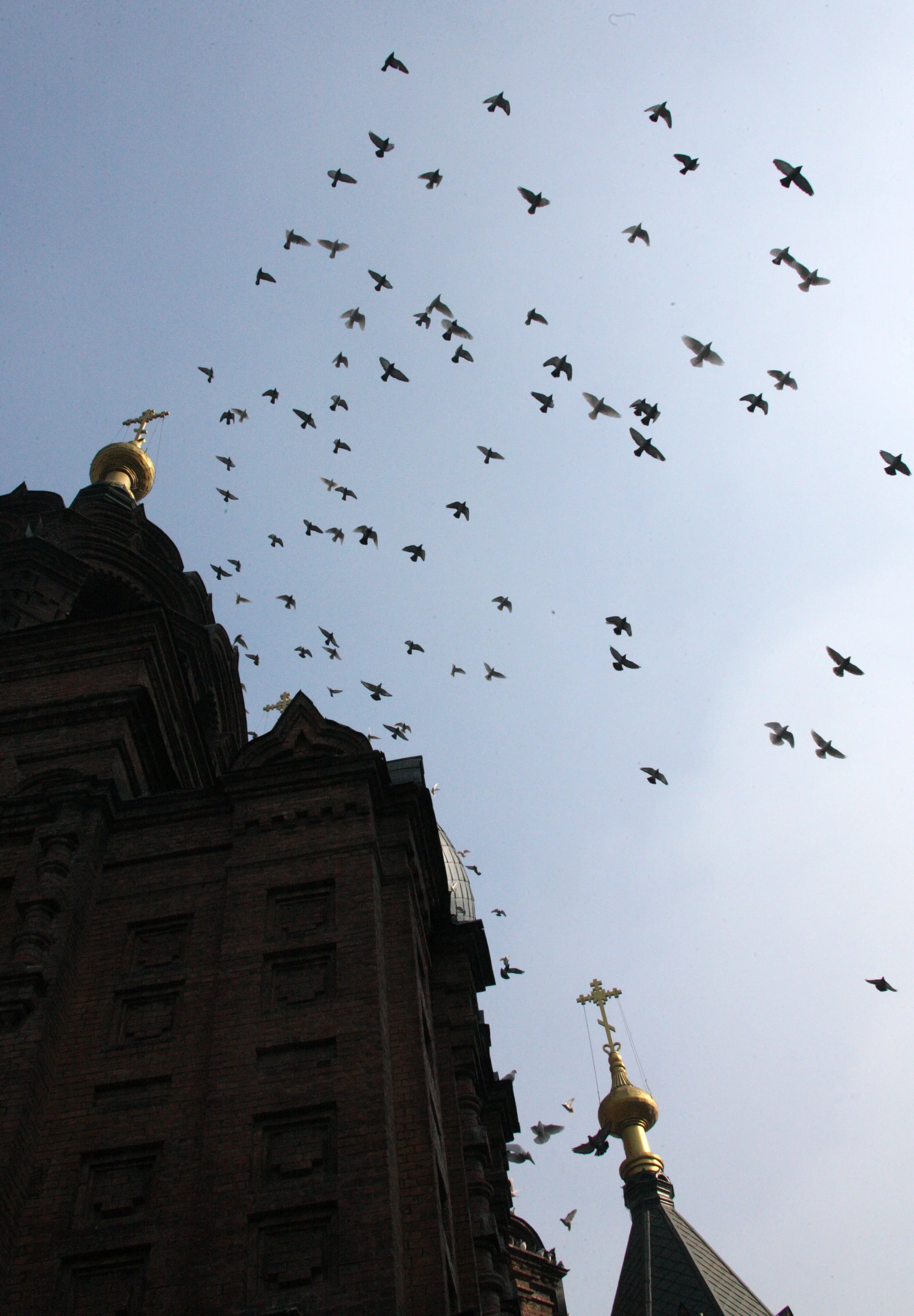 SAINT SOPHIA'S CATHEDRAL HARBIN CHINA (75).JPG