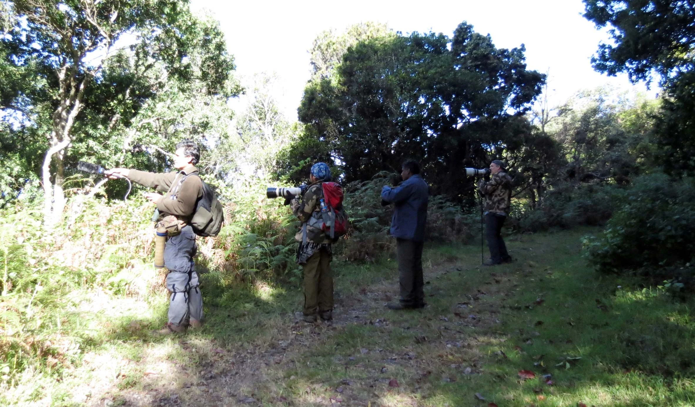 PAMPADUM SHOLA NATIONAL PARK INDIA - VATTAVADA (33).JPG