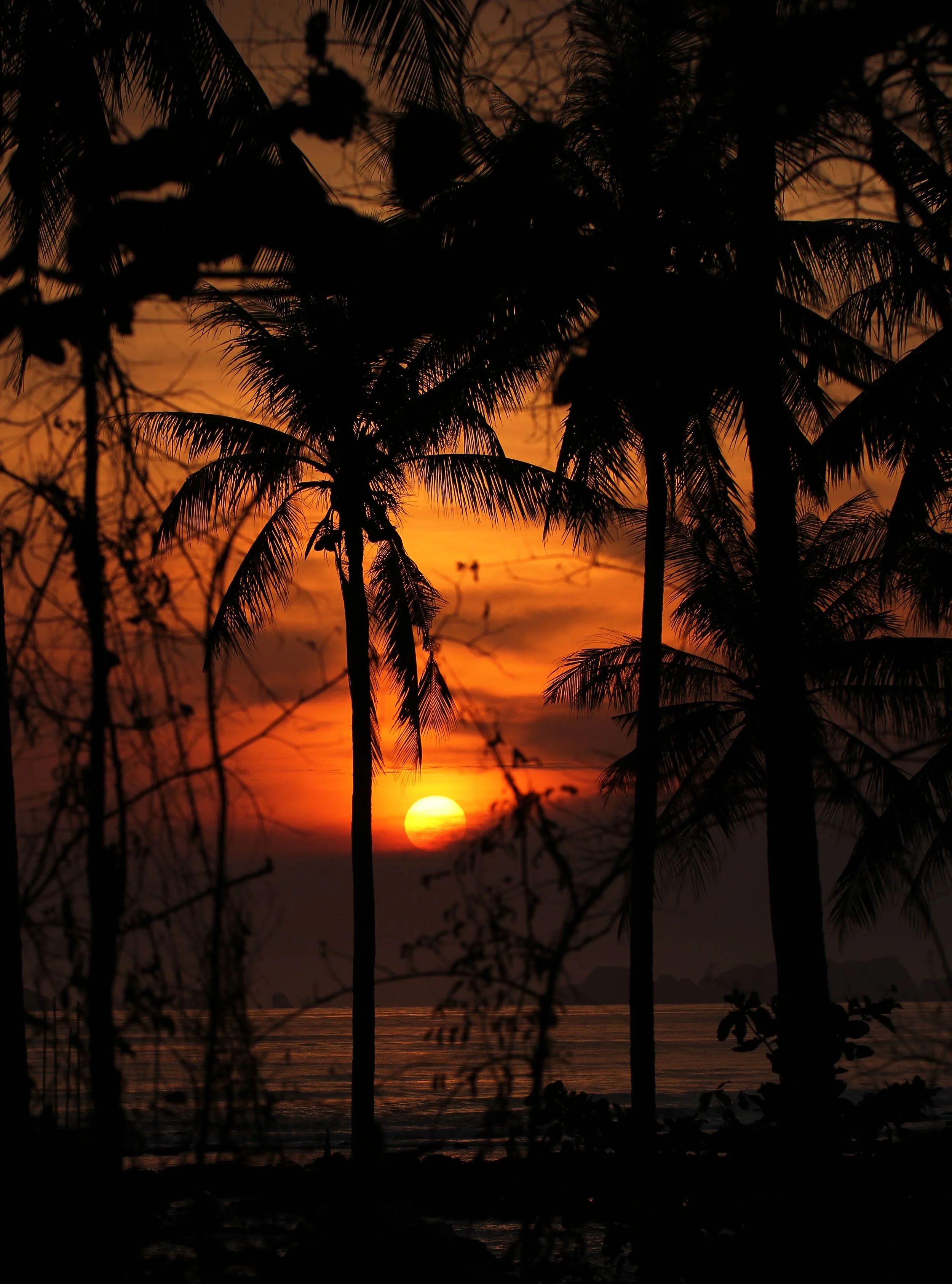 2015 Koh Lanta Summer Misc Images (1106).JPG