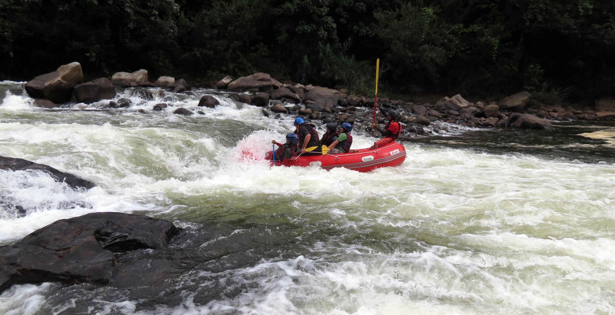 KITULGALA FOREST PRESERVE SRI LANKA (71).JPG