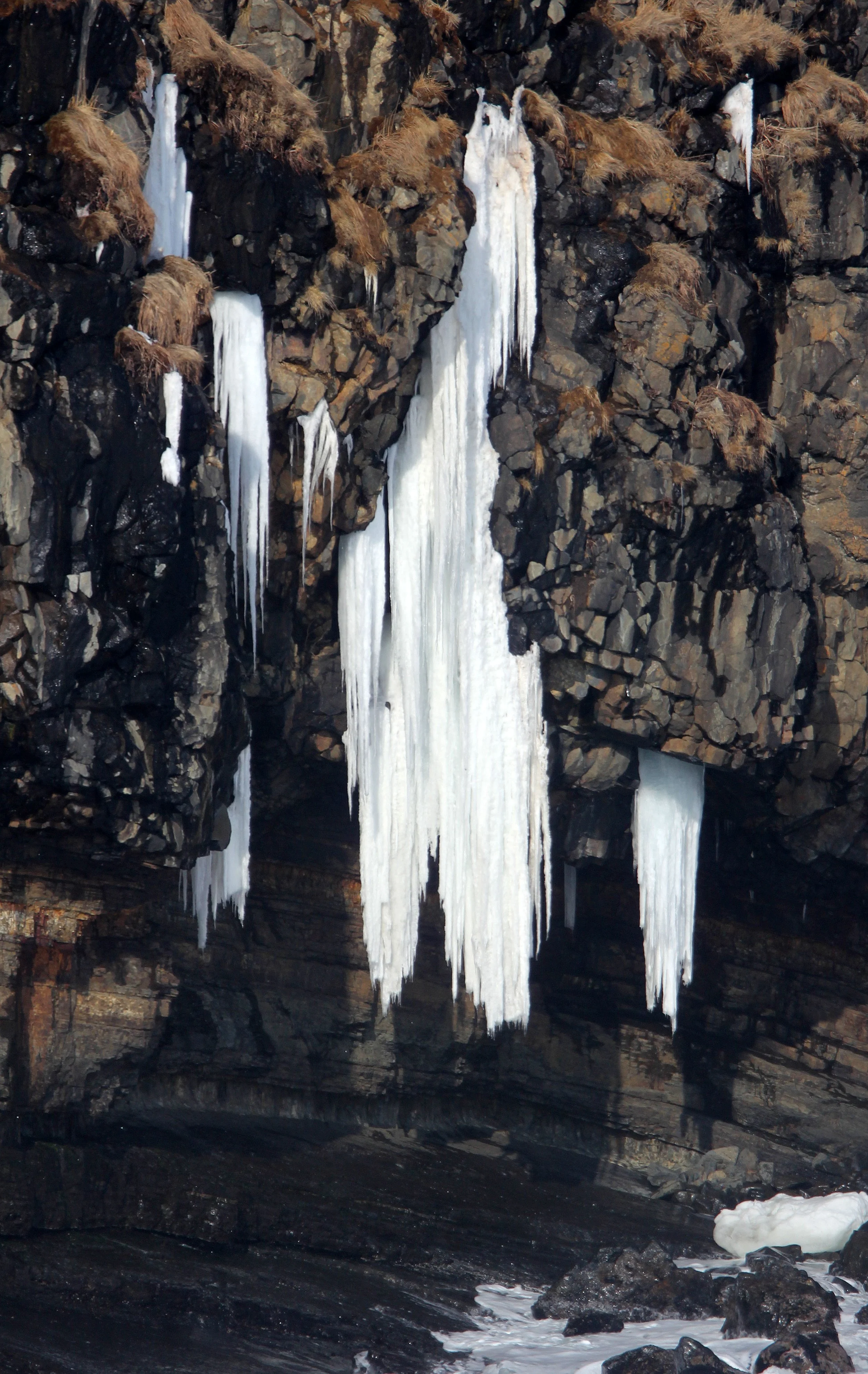 HANASAKI CAPE - NEMURO PENINSULA - HOKKAIDO JAPAN (1).JPG