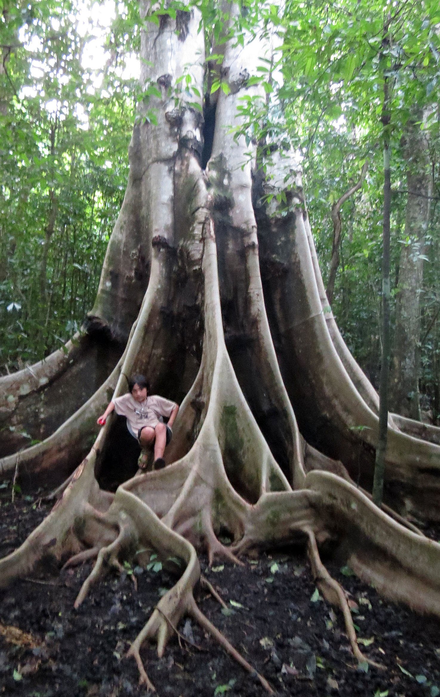 TANGKOKO NATIONAL PARK SULAWESI INDONESIA (88).JPG