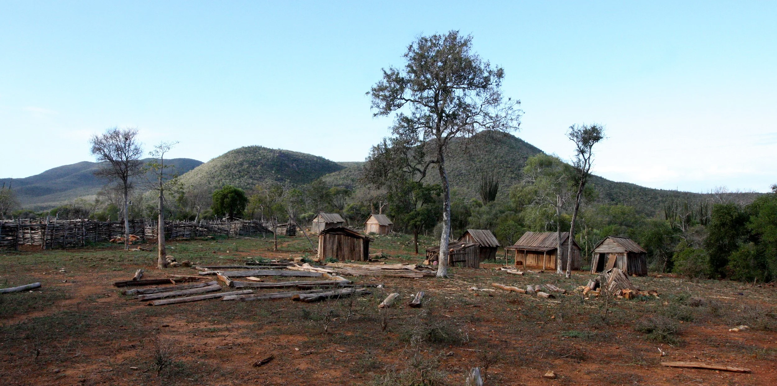 ANDOHAHELA NATIONAL PARK - BASE CAMP (9).JPG