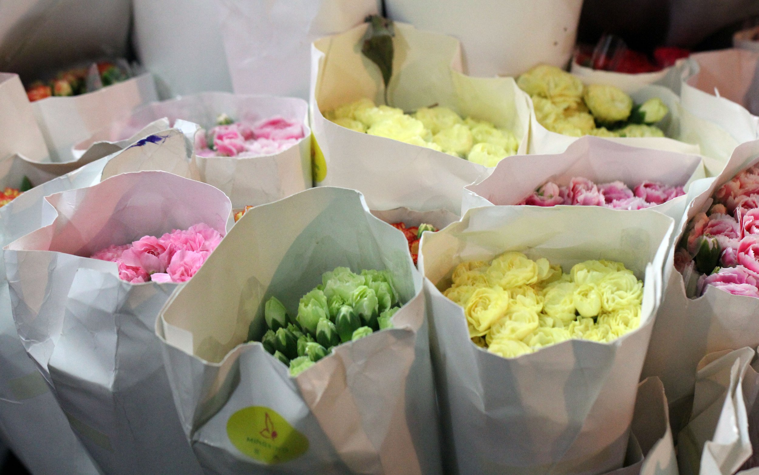 2016 Bangkok Pak Klong Flower Market at 2AM (41).JPG