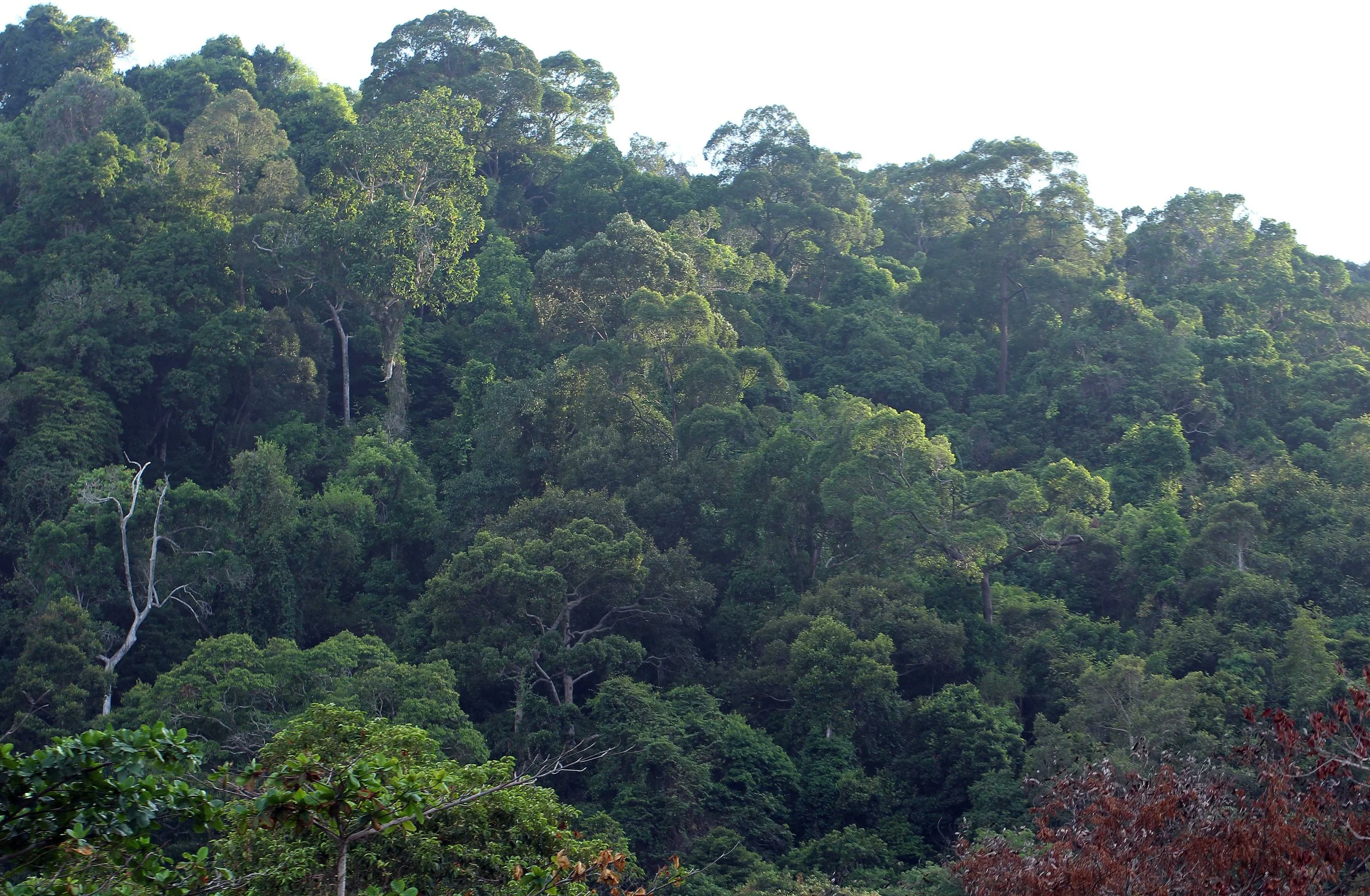 2015 Koh Lanta Songkran with friends from ISB (581).JPG