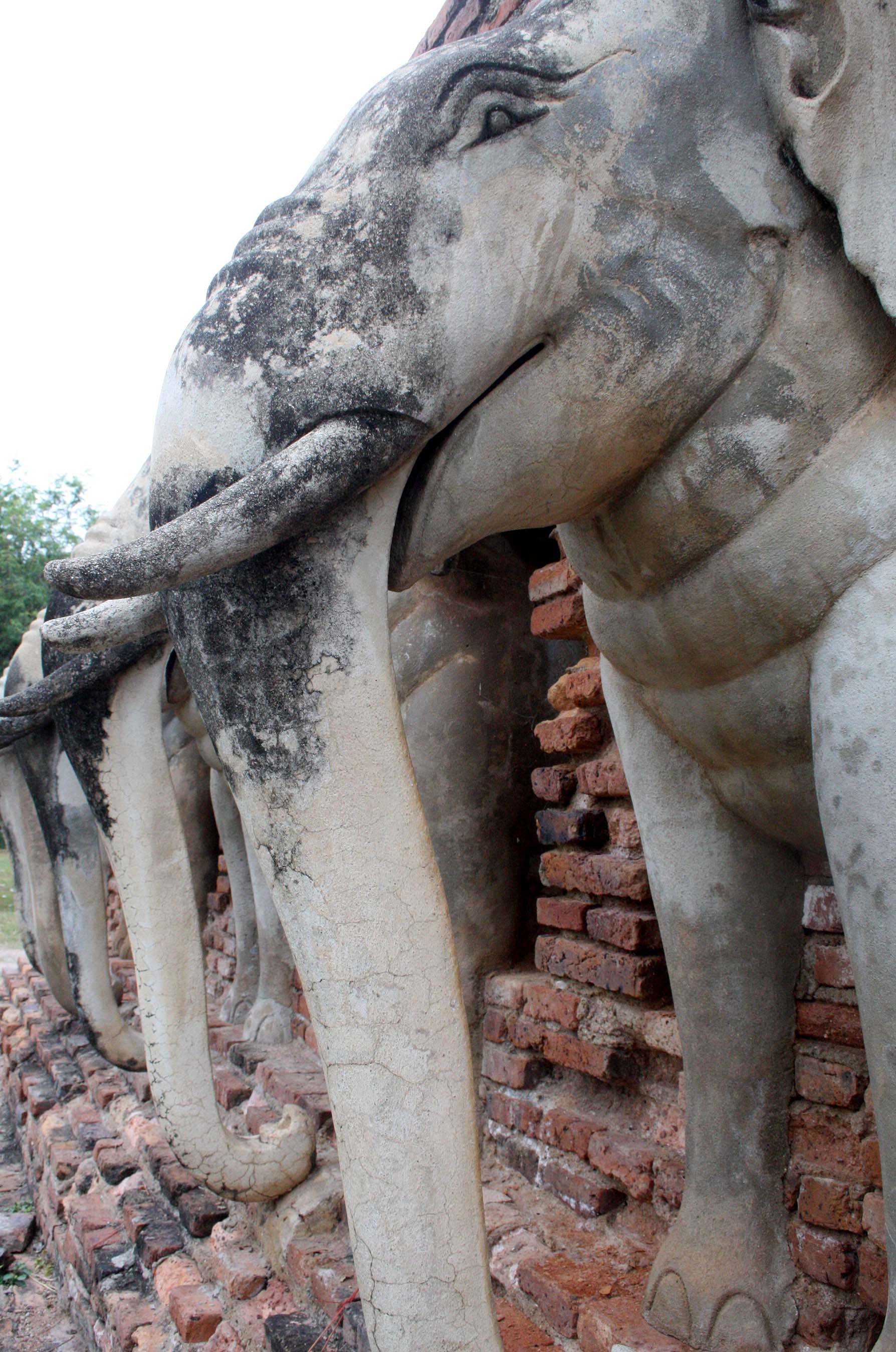 SUKHOTHAI - ELEPHANT WAT - CHRISTMAS IN THAILAND TRIP 2008 (2).JPG
