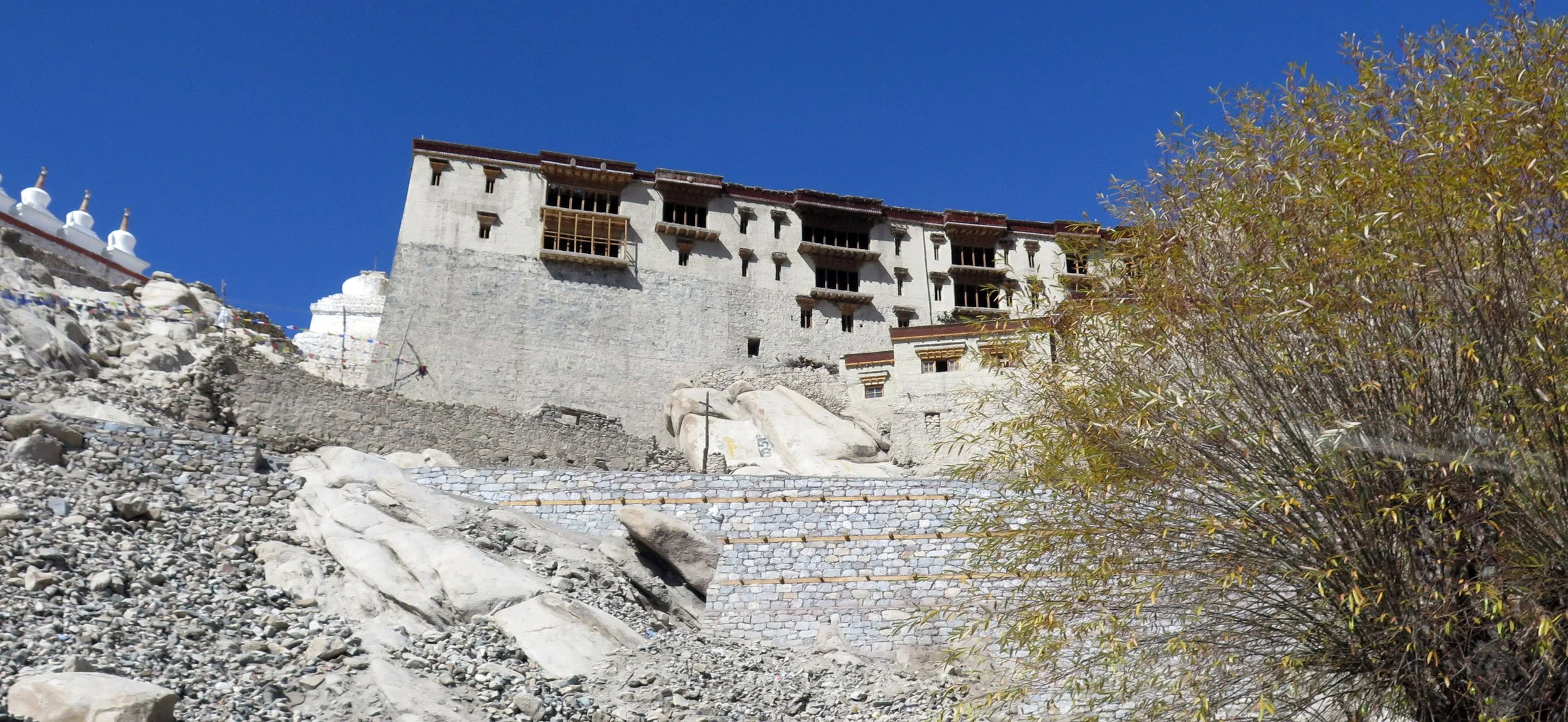 LEH - LADAKH INDIA - SNOW LEOPARD TRIP 2014 (17).JPG