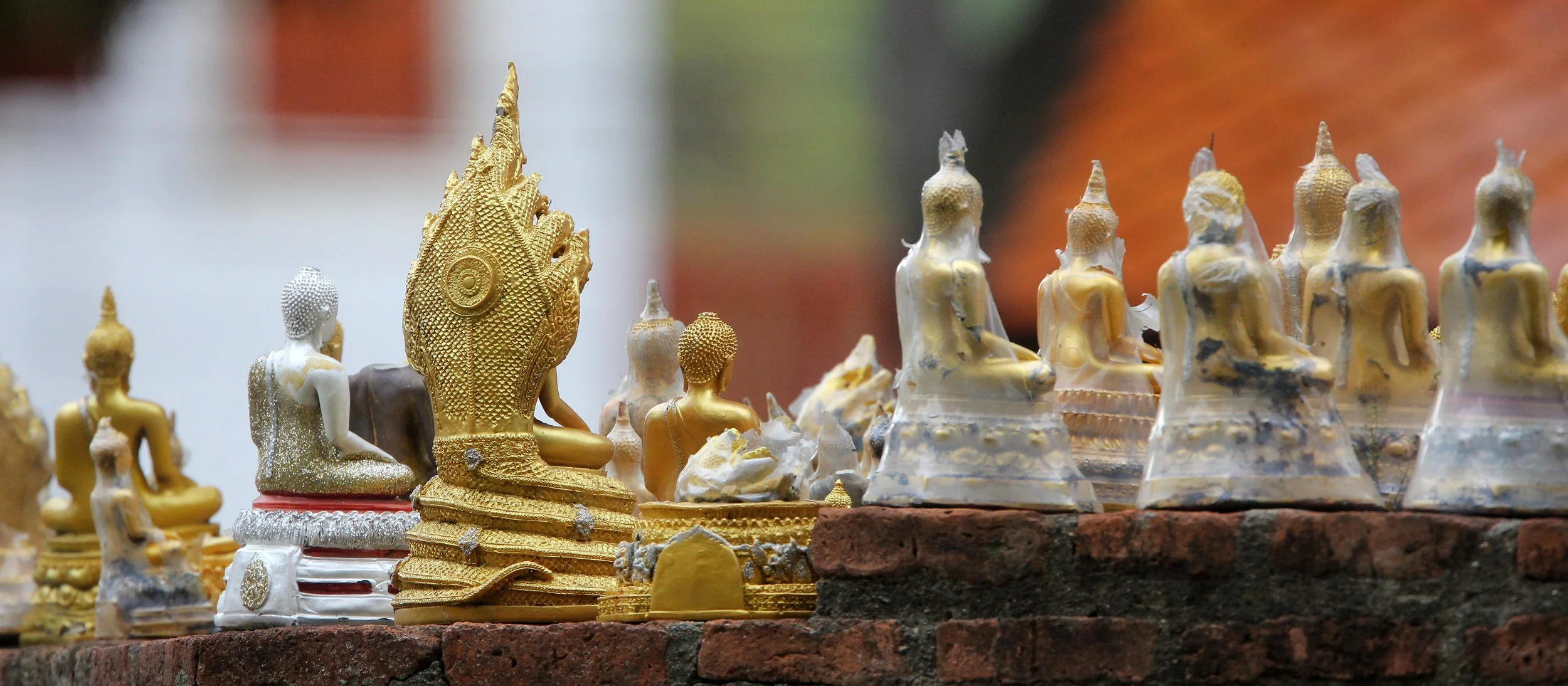 AYUTTHAYA PASSION DAY NOVEMBER 2013 (51).JPG