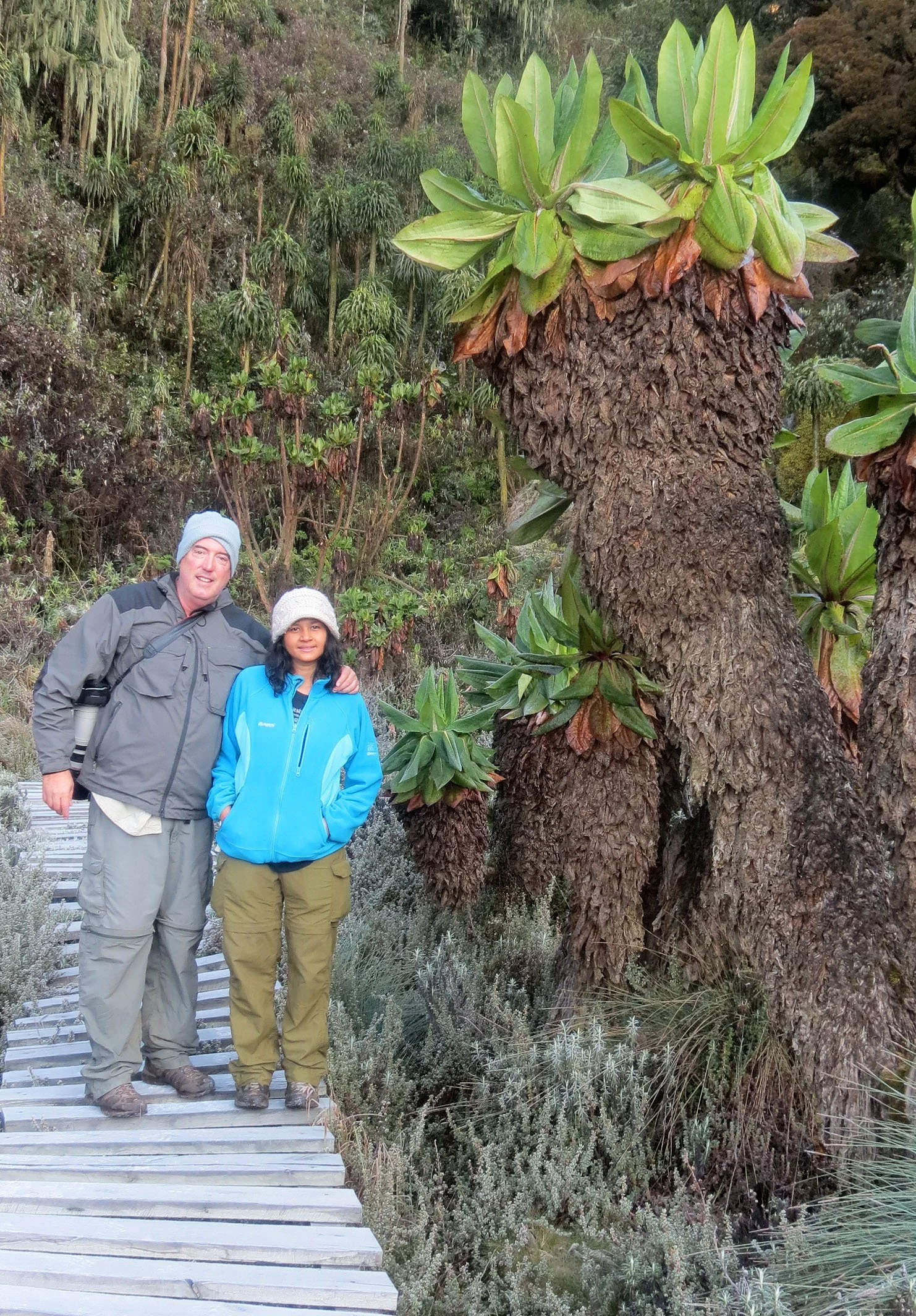 RWENZORI NATIONAL PARK UGANDA (218).JPG
