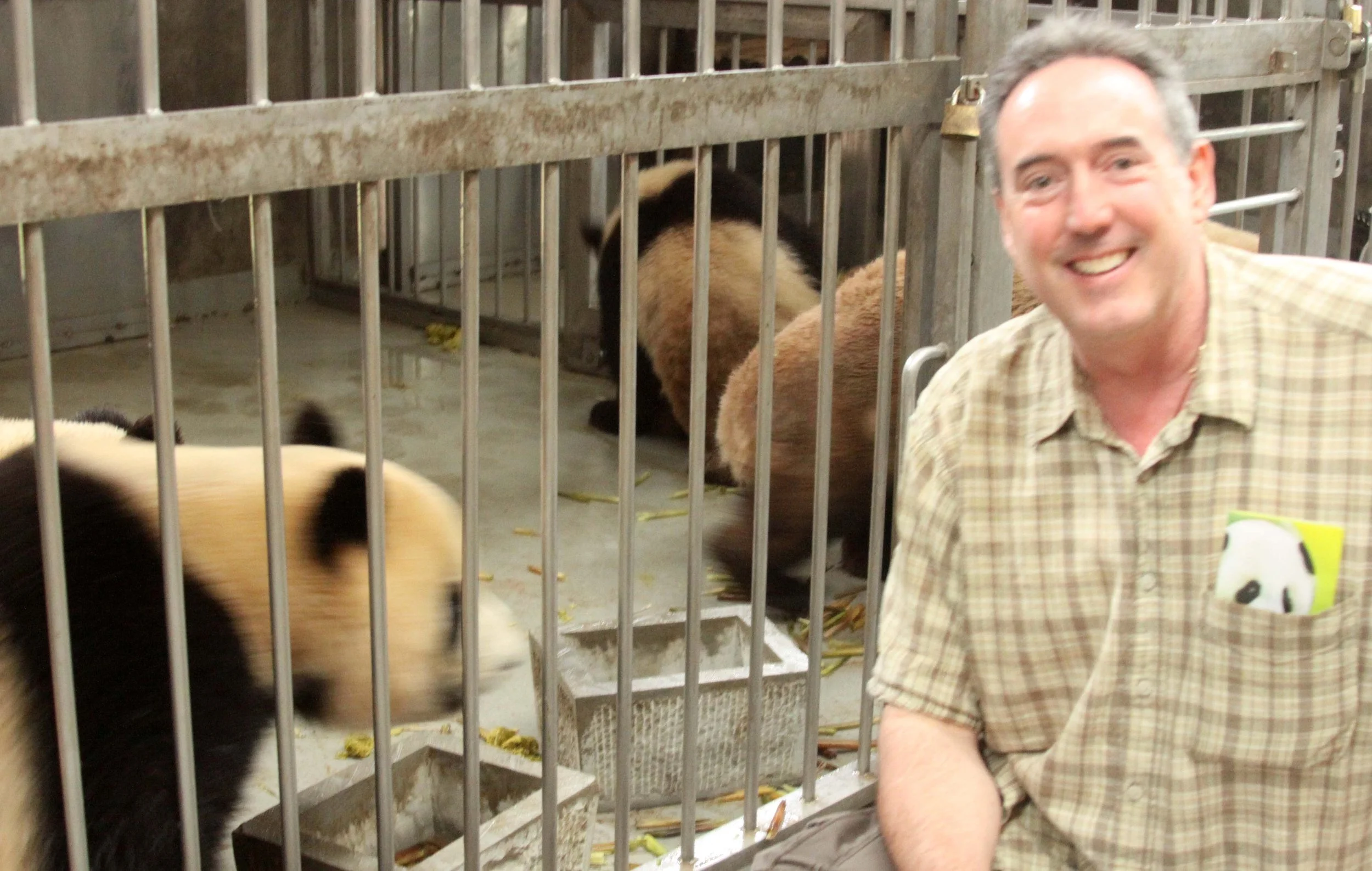 CHENGDU GIANT PANDA BREEDING CENTER - CHINA ALIVE 2011 (30).JPG