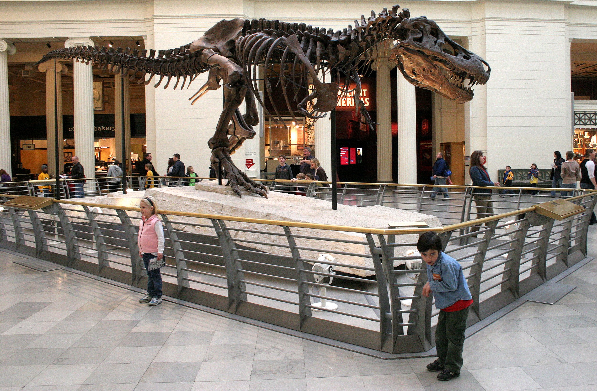 2008-3-28 CHICAGO SPRING BREAK TRIP (16).JPG