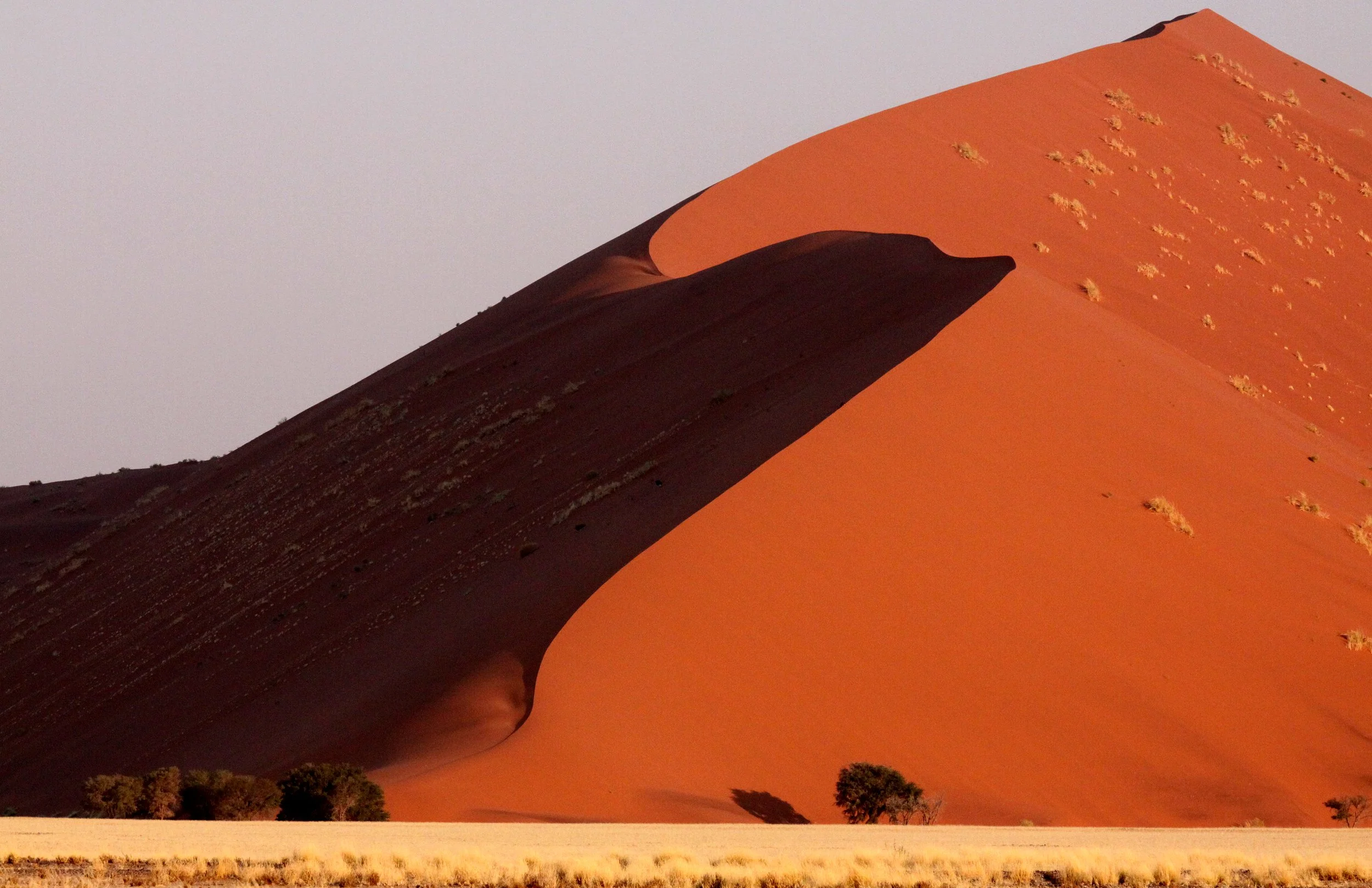 SOSSUSVLEI, NAMIB NAUKLUFT NATIONAL PARK, NAMIBIA (34).JPG