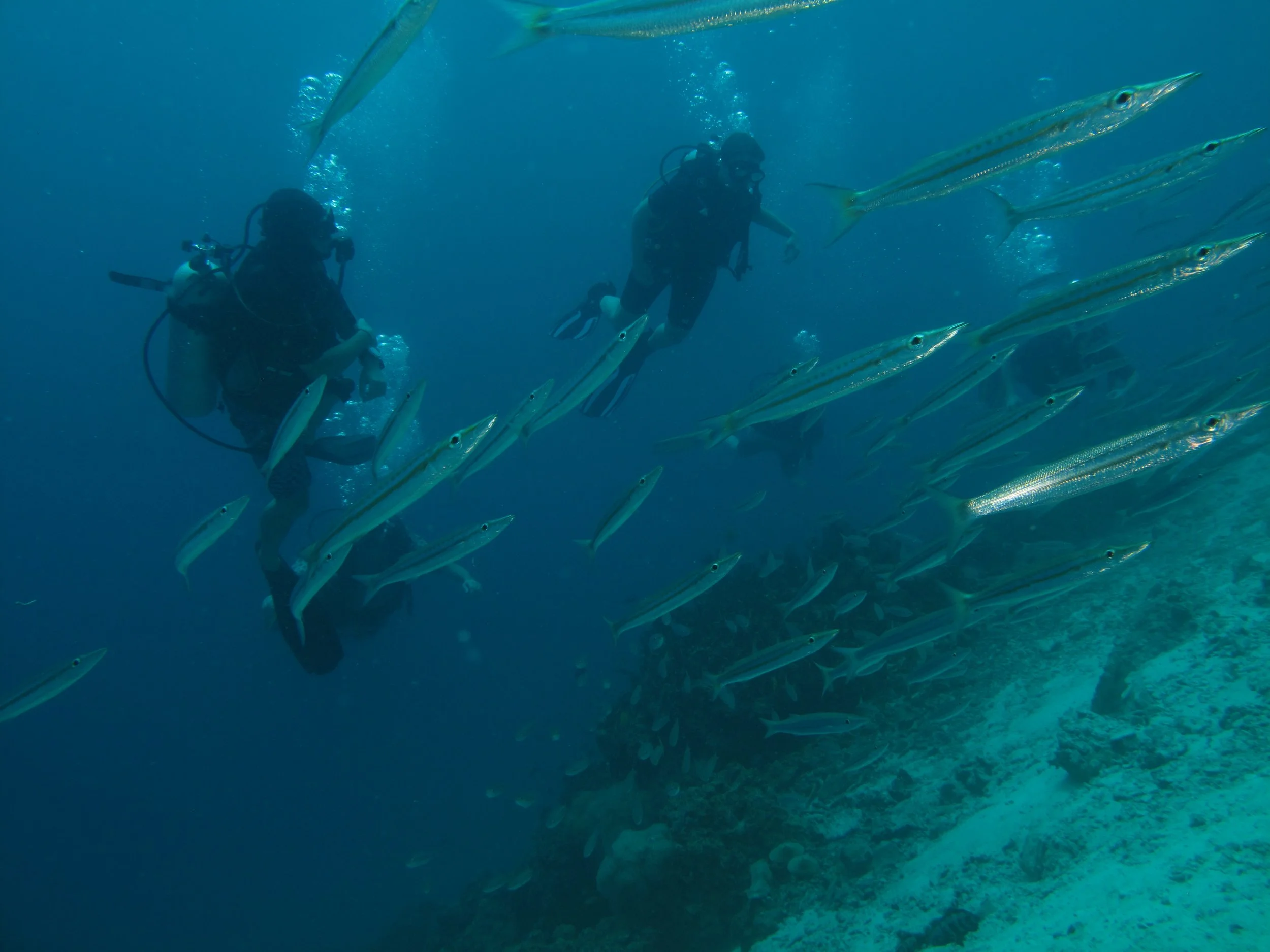 2013 Koh Lanta Dive Trip Koh Ha (31).jpg