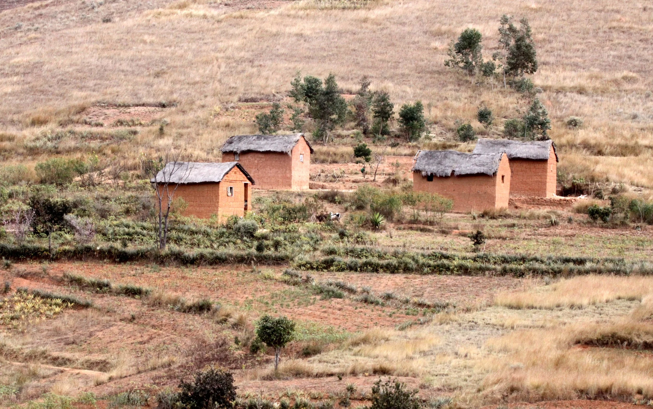 CENTRAL HIGHLANDS - ROAD TO RANOMAFANA (63).JPG