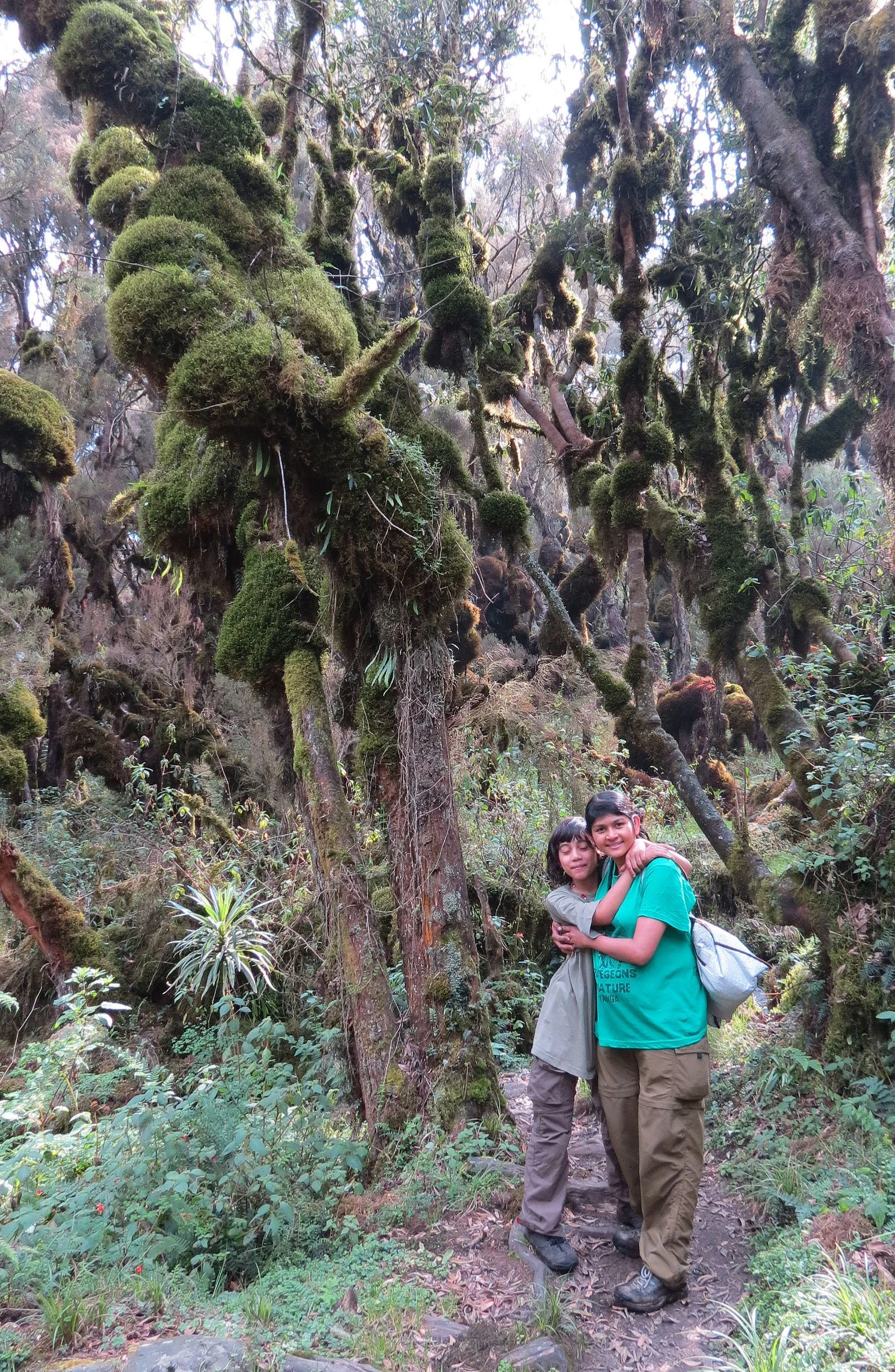 RWENZORI NATIONAL PARK UGANDA (149).JPG