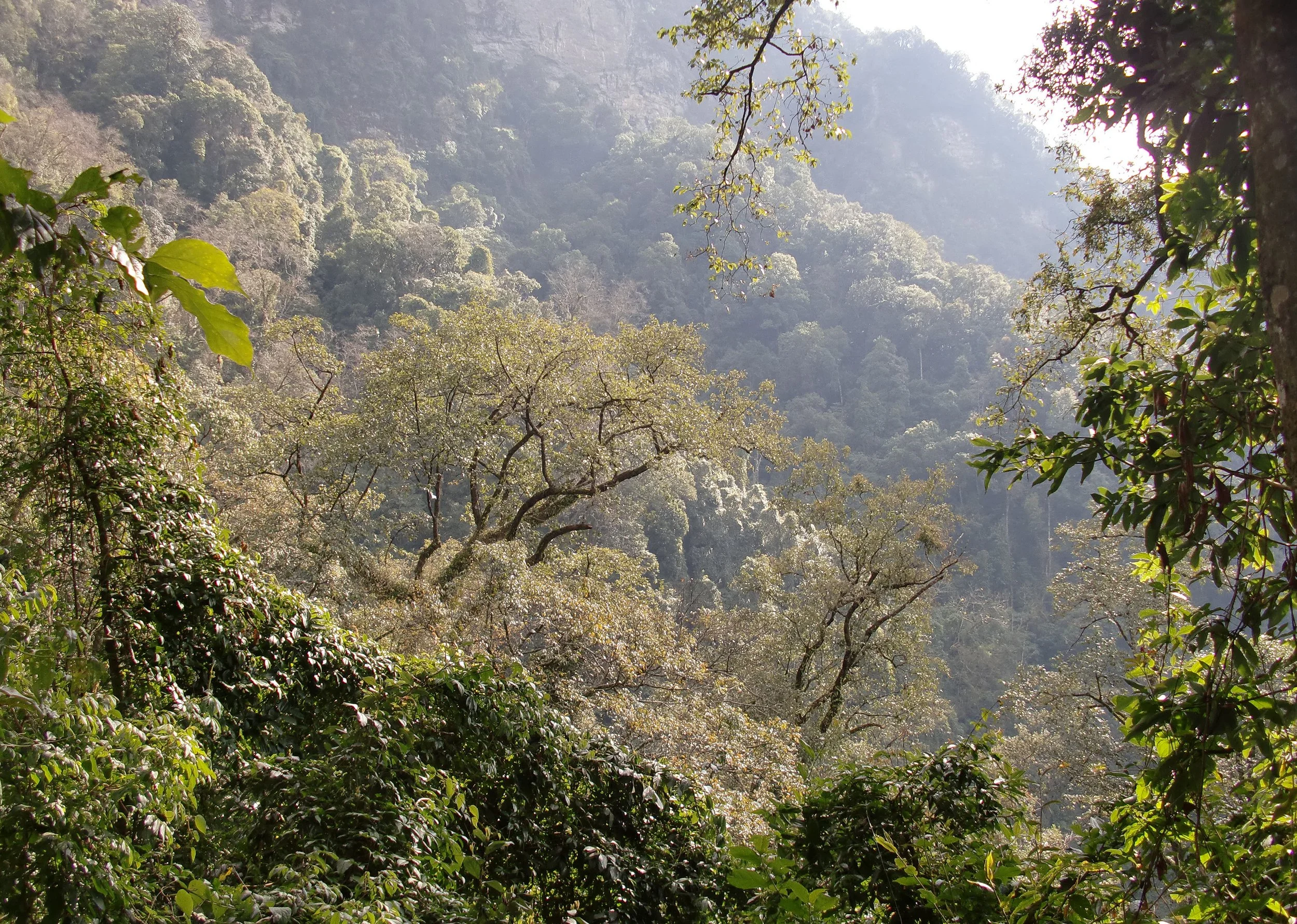 YUNNAN - WULIANGSHAN NATURE RESERVE AND SURROUNDING MOUNTAINS (14).JPG