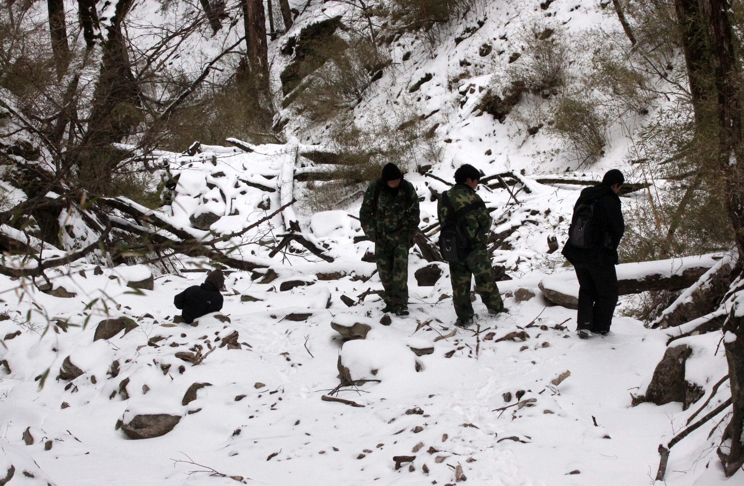 FOPING NATURE RESERVE - SHAANXI PROVINCE CHINA (140).JPG