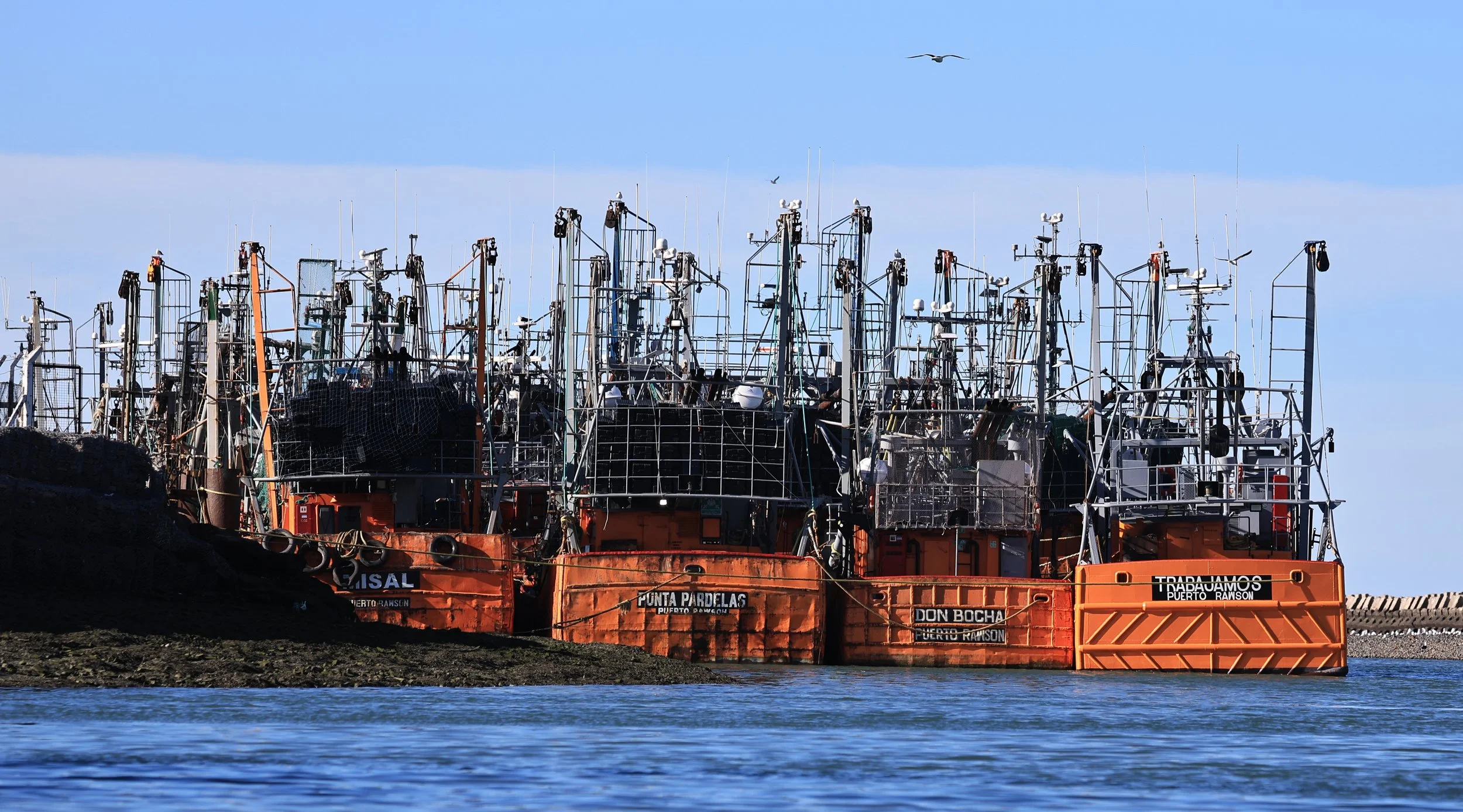 Rawson Fishing Fleet - Puerto Rawson Argentina (9).jpg