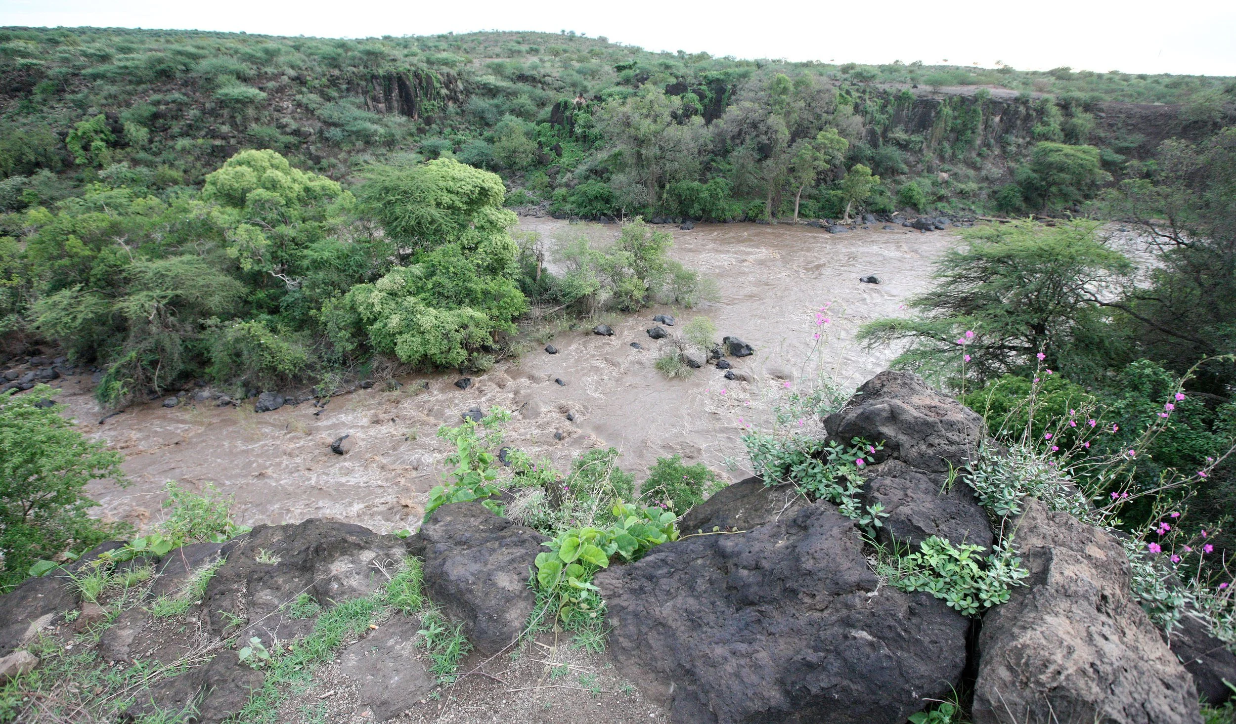 Awash National Park 