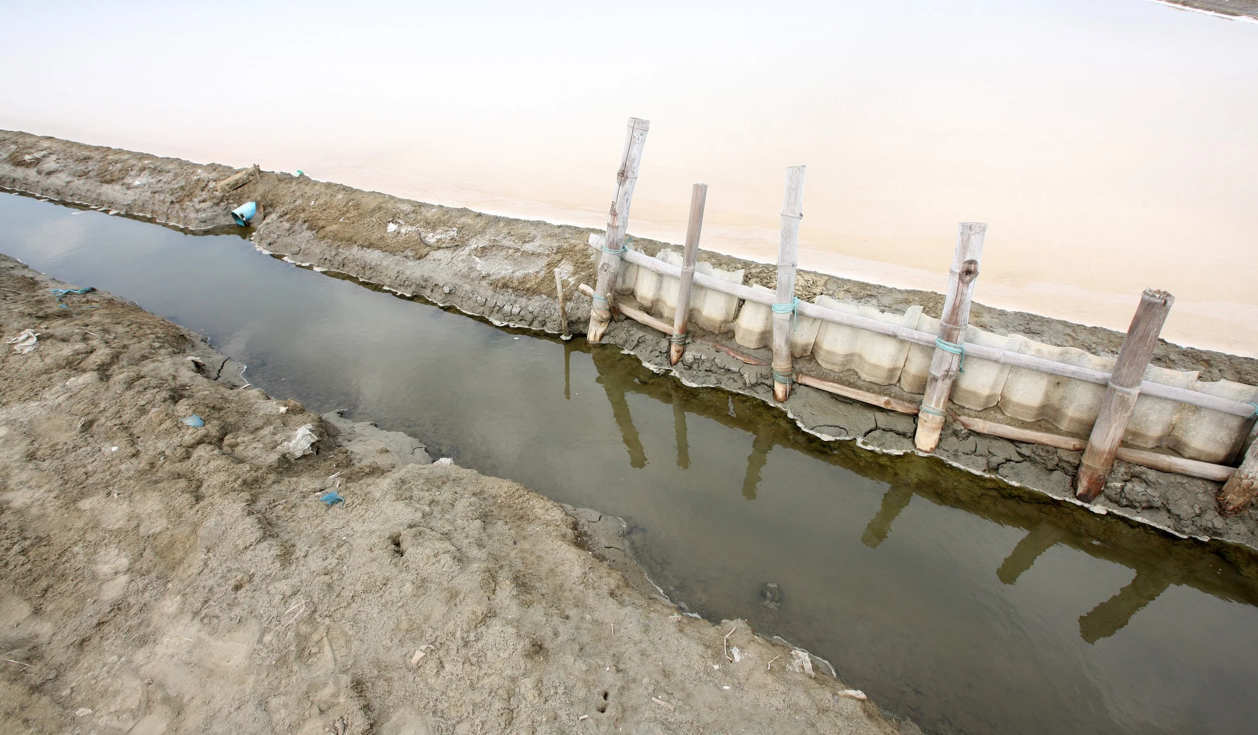 2011 Pak Thale Salt Ponds (6).JPG