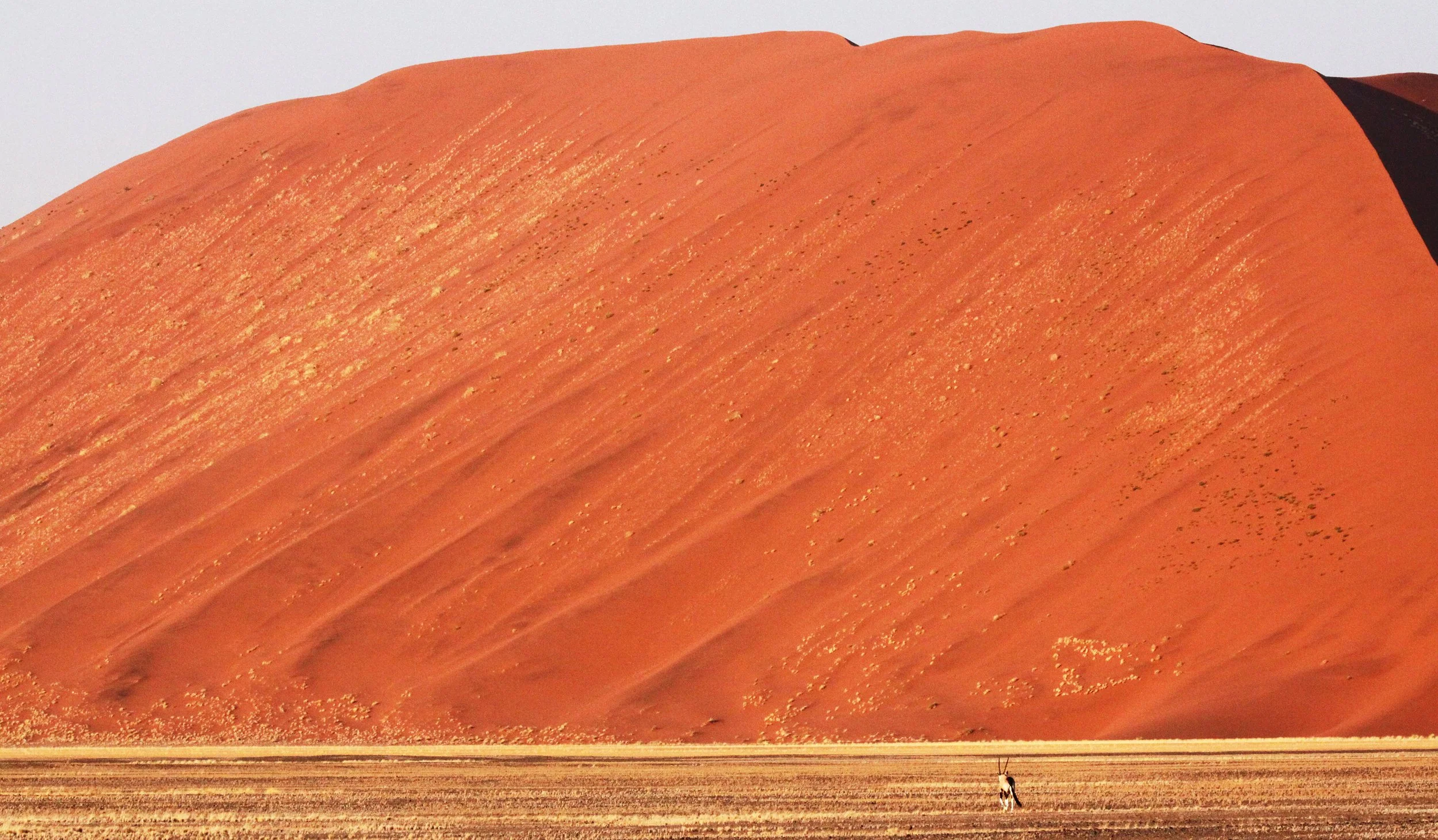 SOSSUSVLEI, NAMIB NAUKLUFT NATIONAL PARK, NAMIBIA - SESREIM VIEWS.JPG