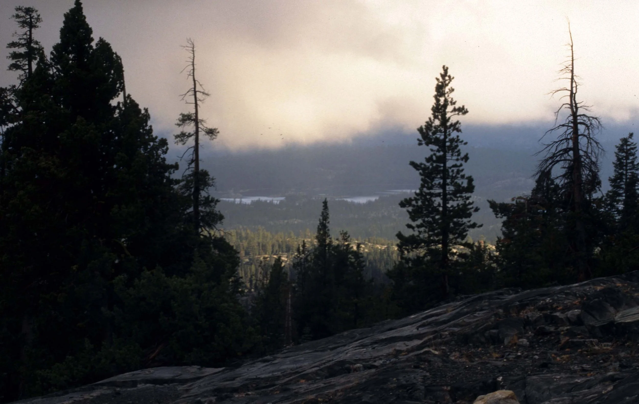 CALIFORNIA - SIERRA NEVADA MOUNTAINS (14).jpg