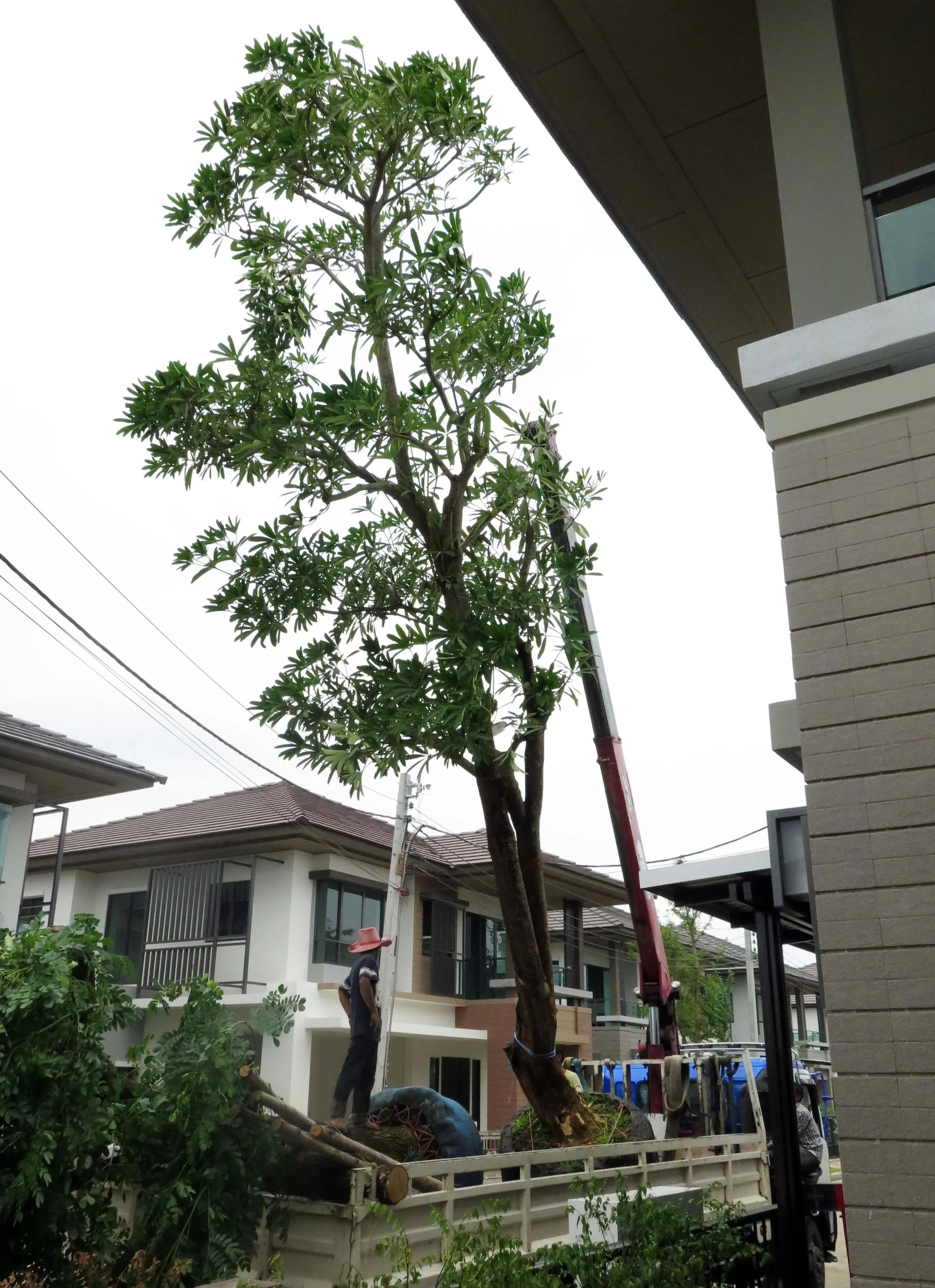 2013 Nonthaburi Setthasiri House and Nonthaburi Neighborhood (32).JPG