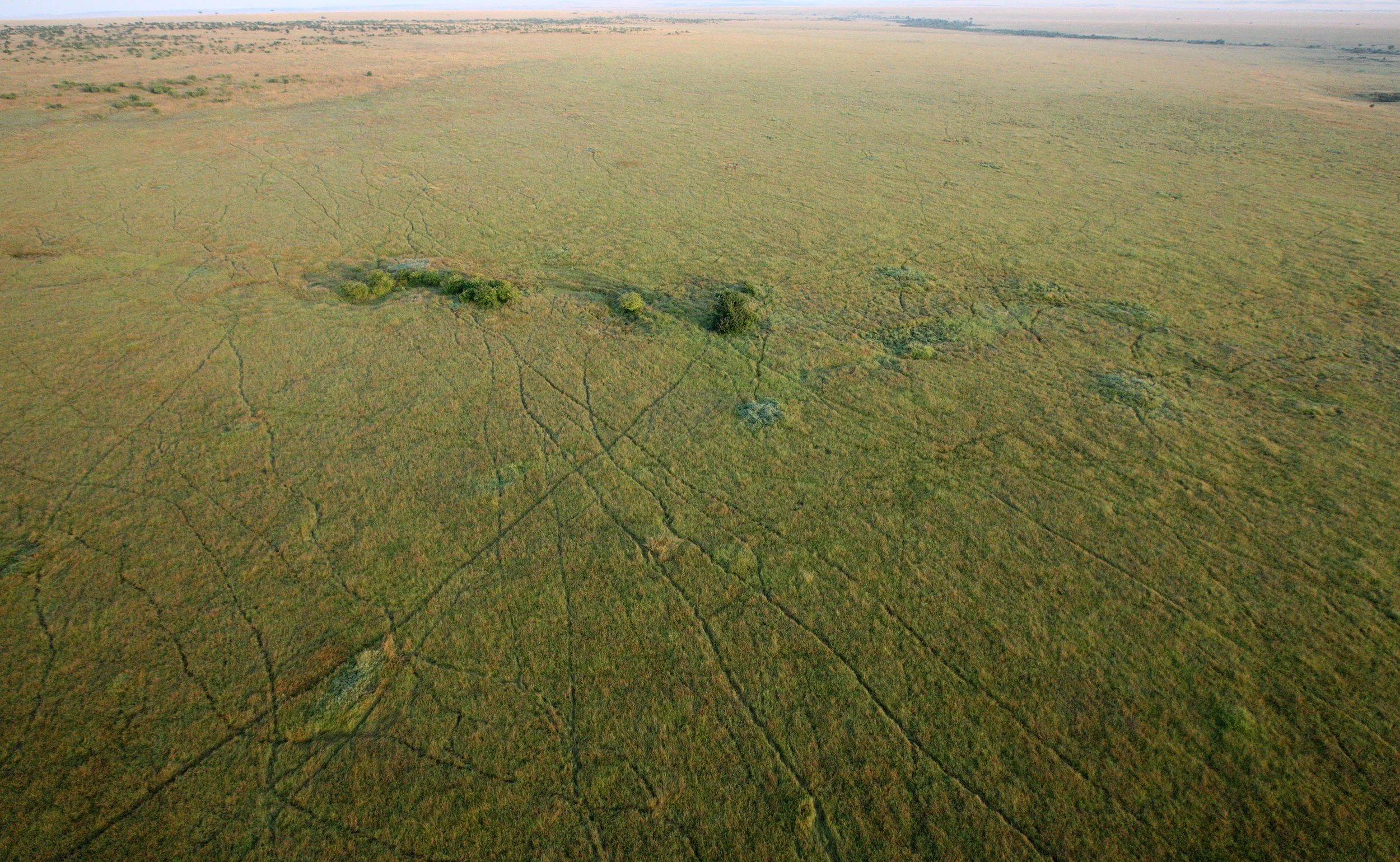 MASAI MARA NATIONAL PARK KENYA (102).JPG