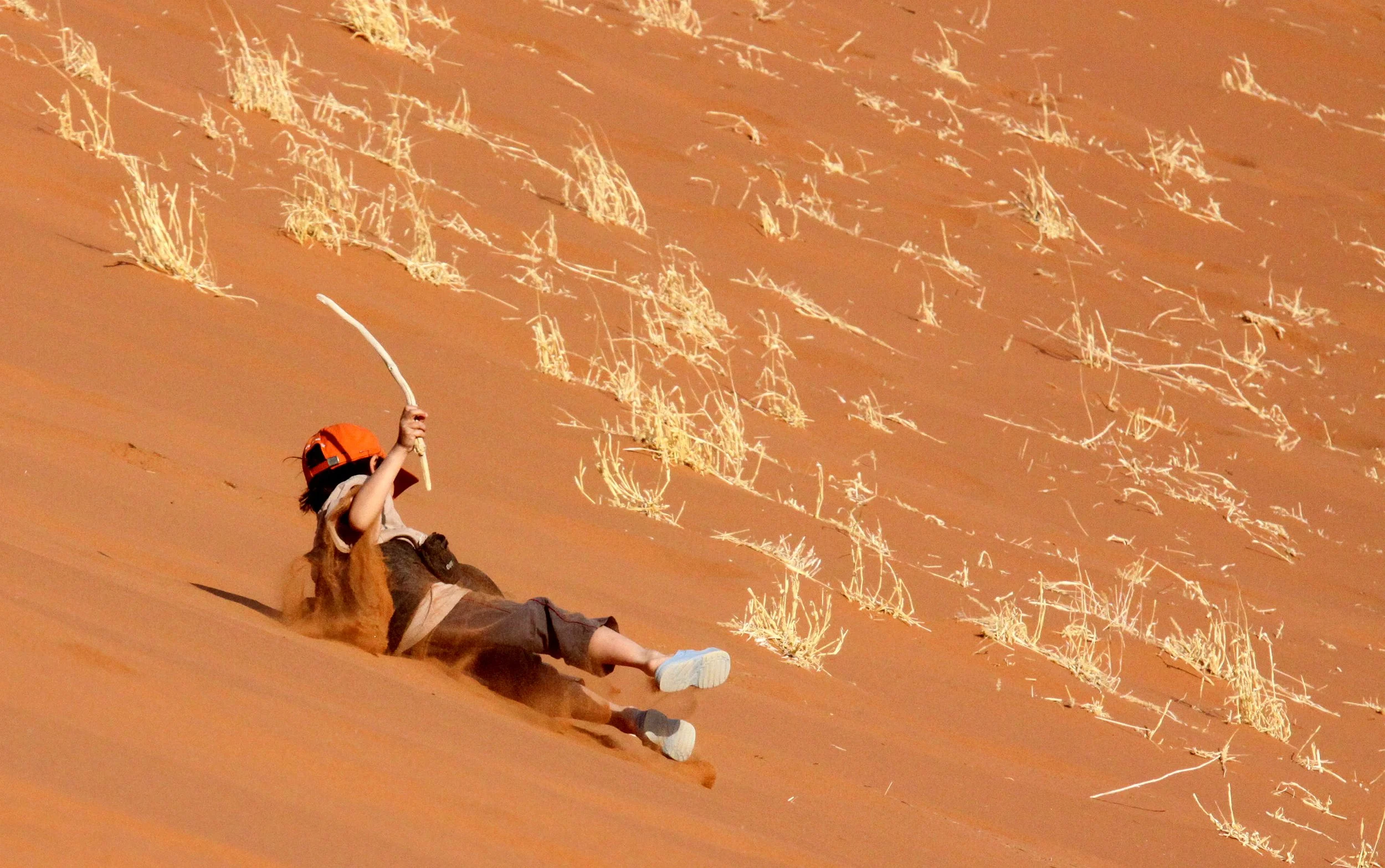 SOSSUSVLEI, NAMIB NAUKLUFT NATIONAL PARK, NAMIBIA - DEAD VLEI (94).JPG