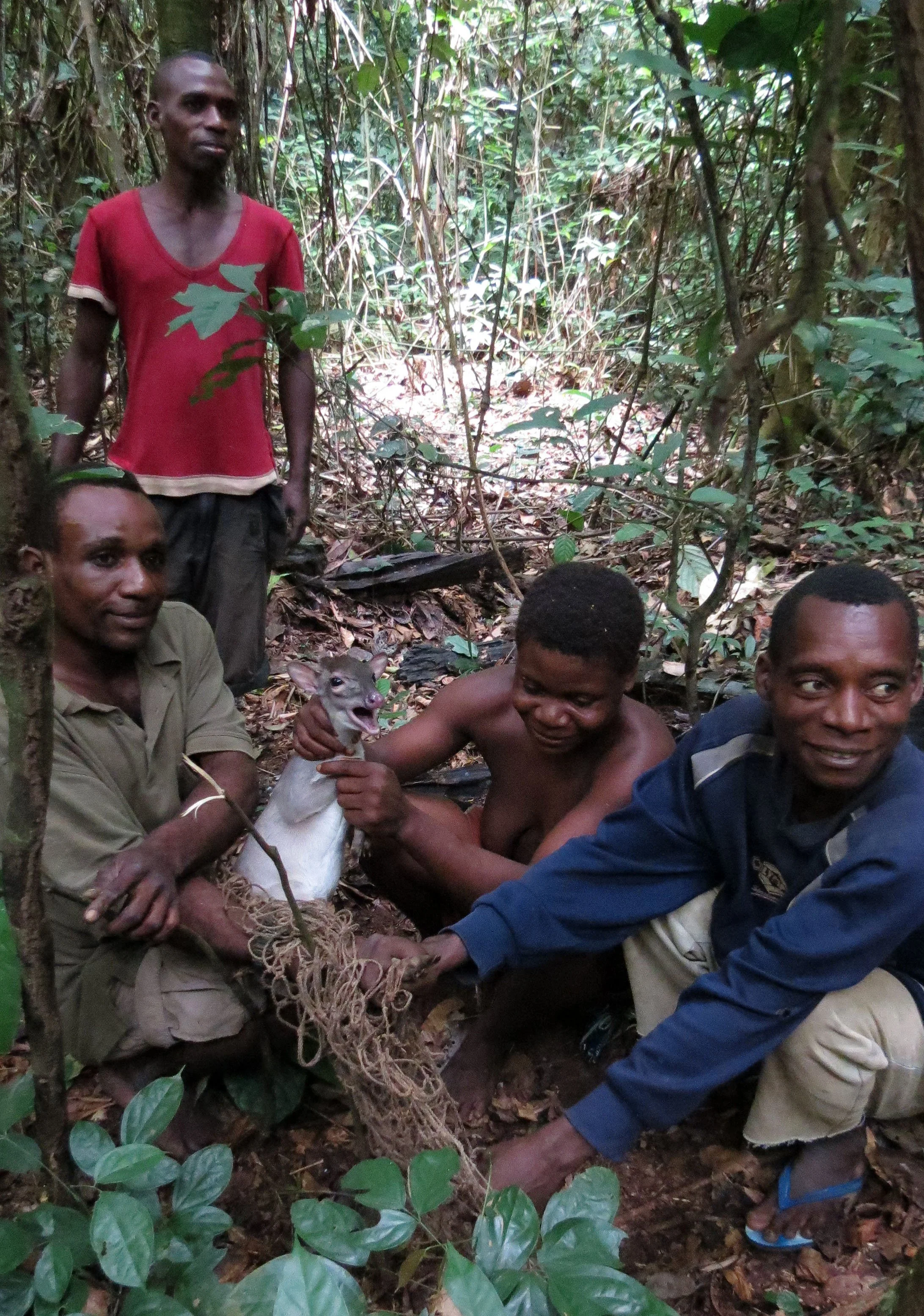 SANGHA RESERVE - BA'AKA HUNT - CENTRAL AFRICAN REPUBLIC (22).JPG