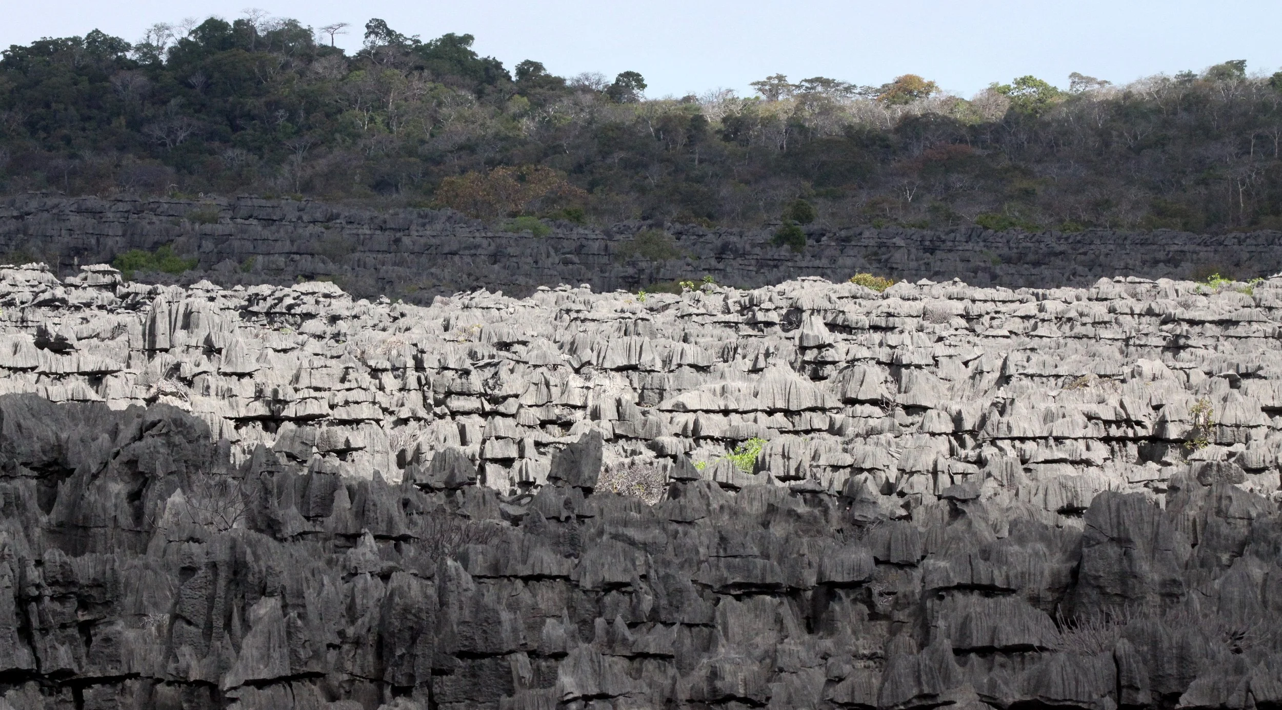 ANKARANA NATIONAL PARK MADAGASCAR - TSINGY FOREST (30).JPG