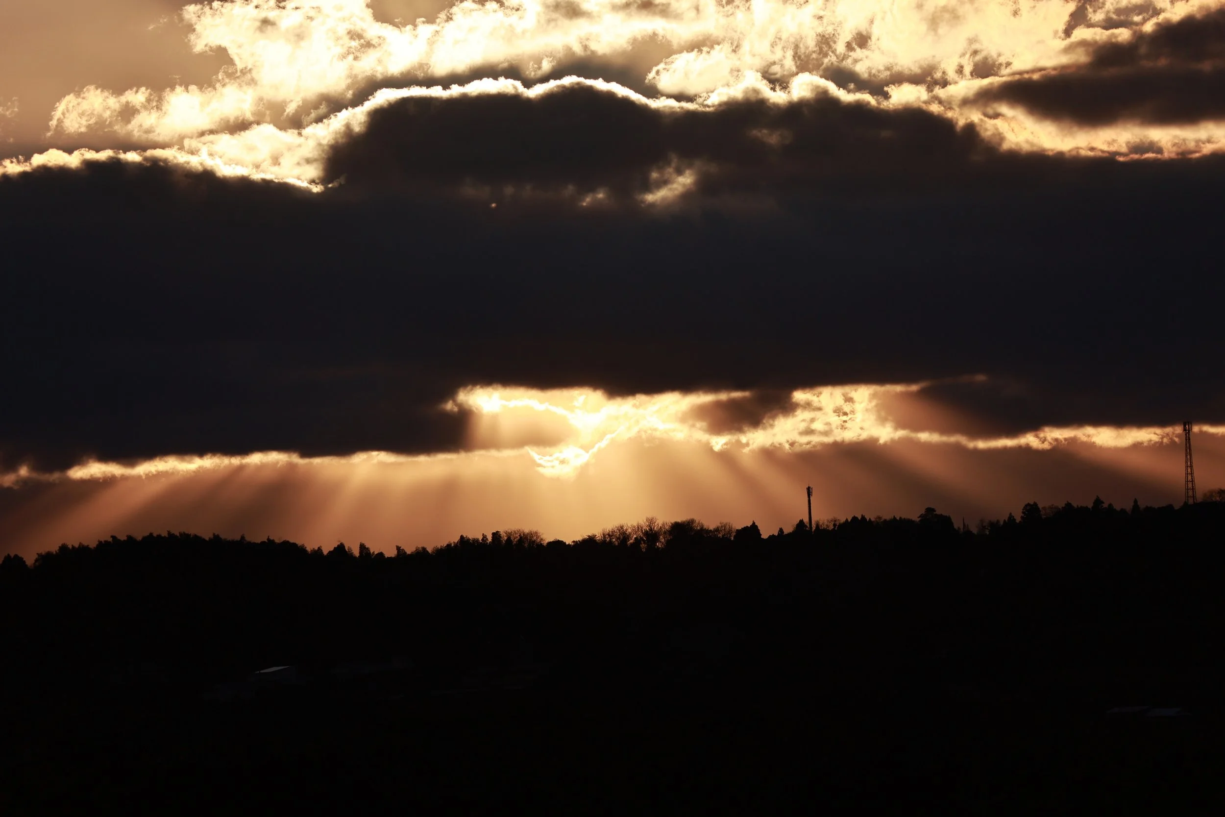 Izumi Crane Park & Center, Izumi Kagoshima Kyushu Japan (39).jpg